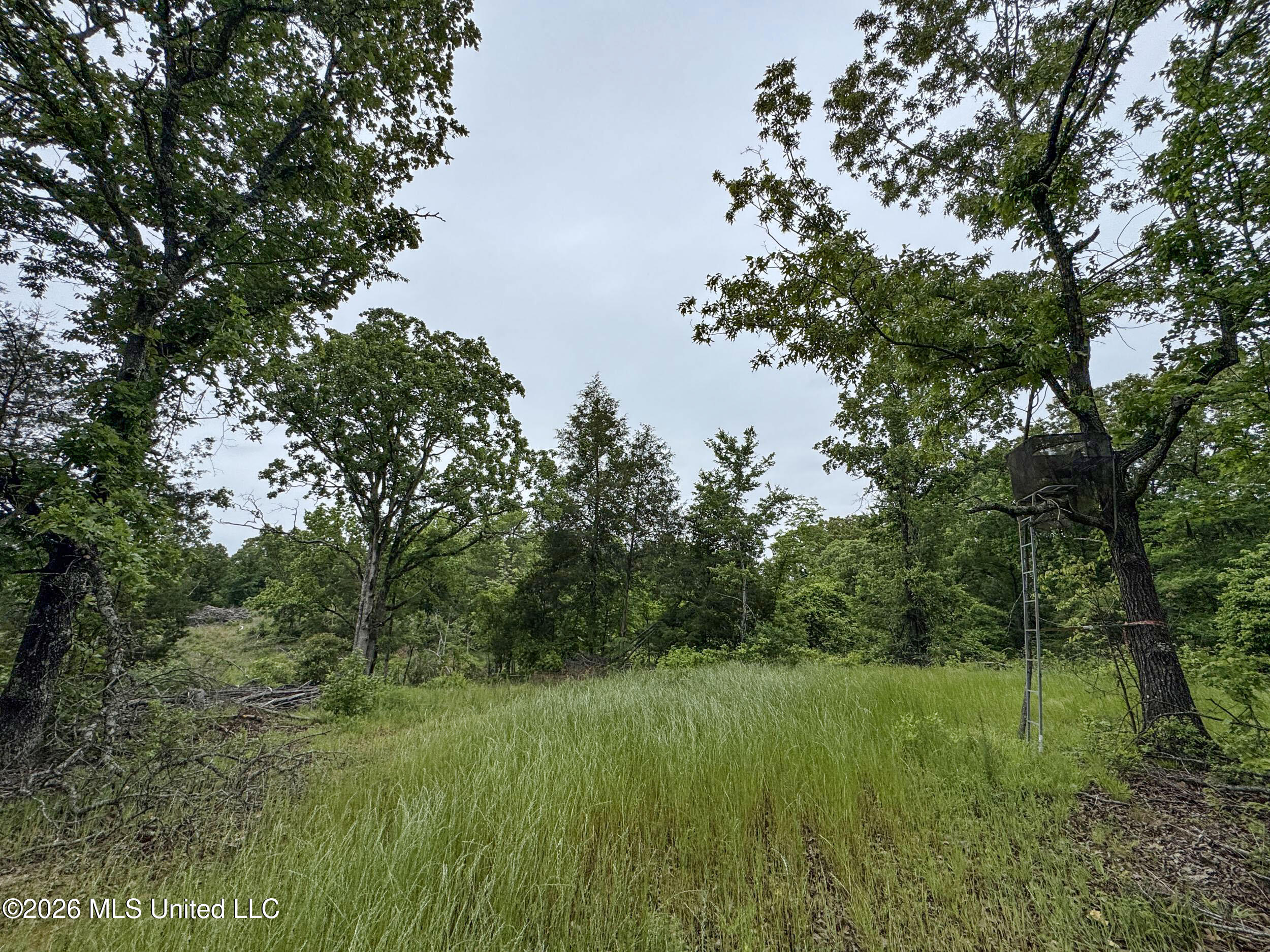 Wayne Massie Road Property Photo 91