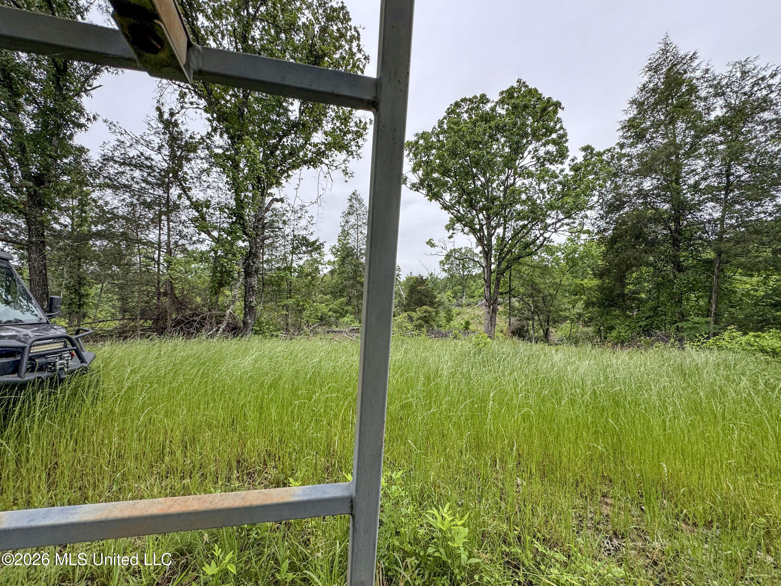 Wayne Massie Road Property Photo 93