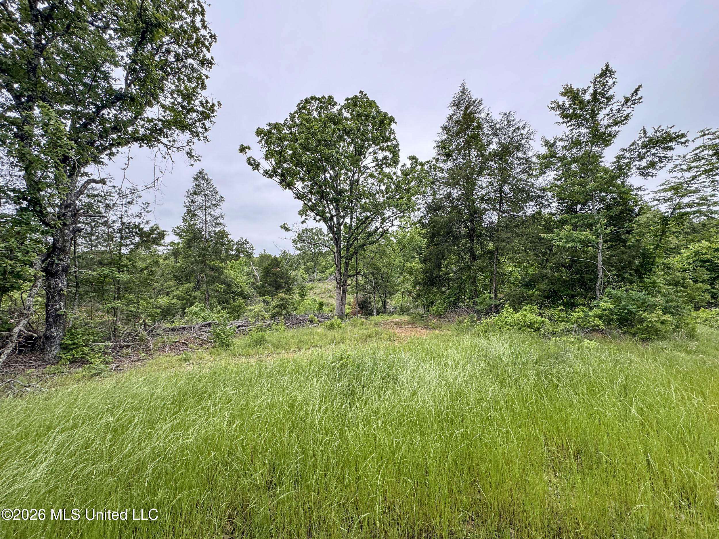 Wayne Massie Road Property Photo 94