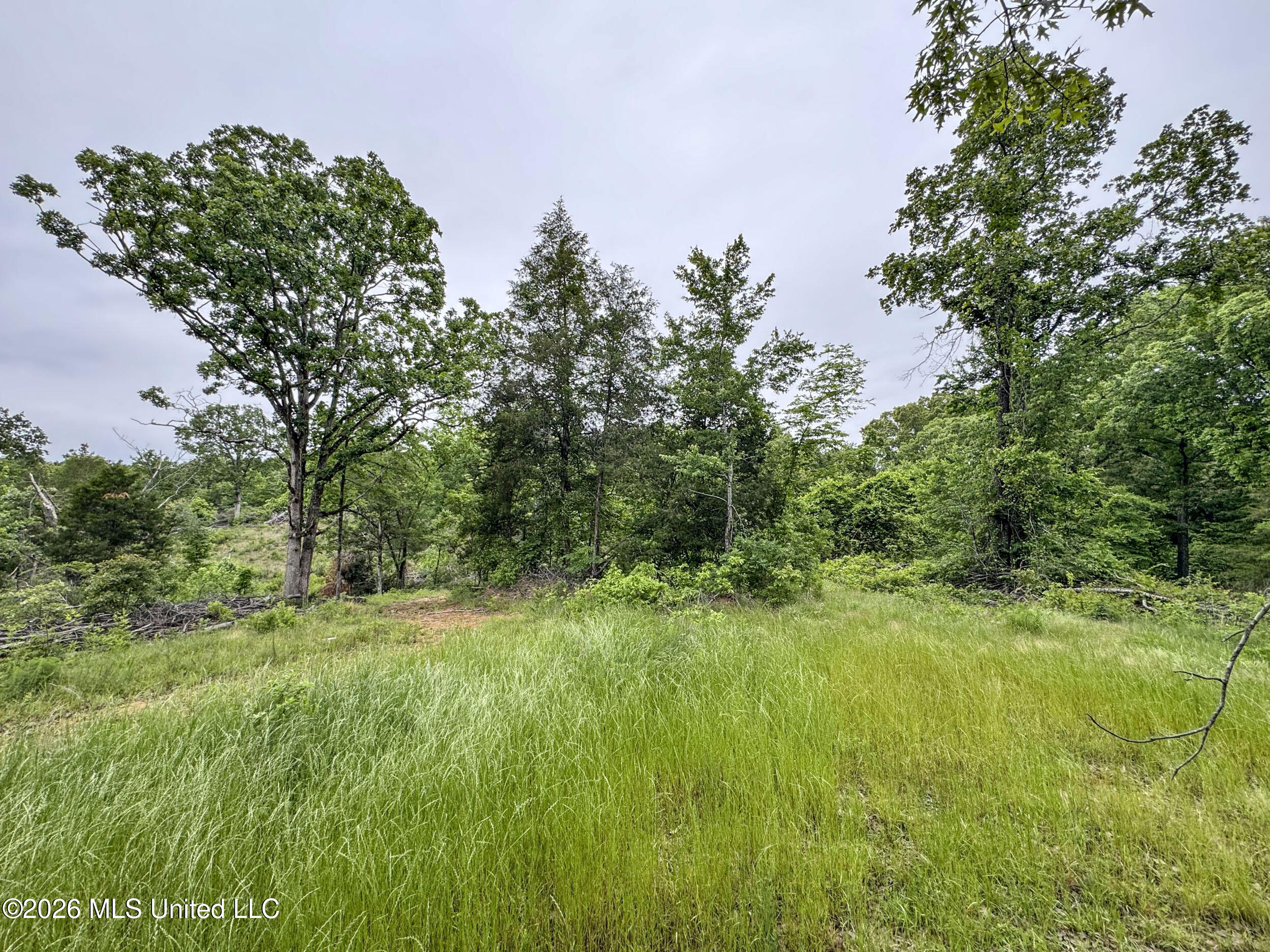 Wayne Massie Road Property Photo 95