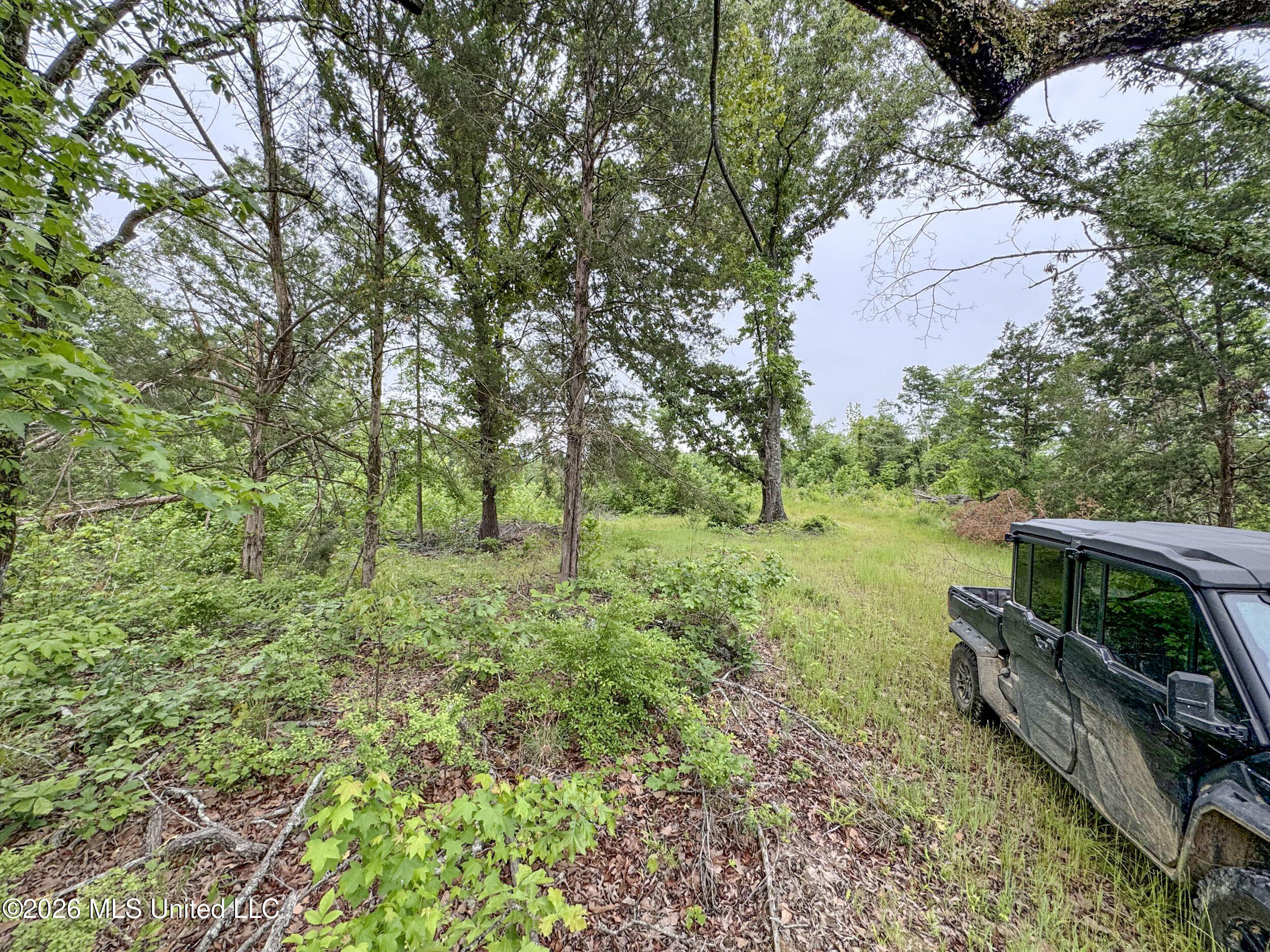 Wayne Massie Road Property Photo 96