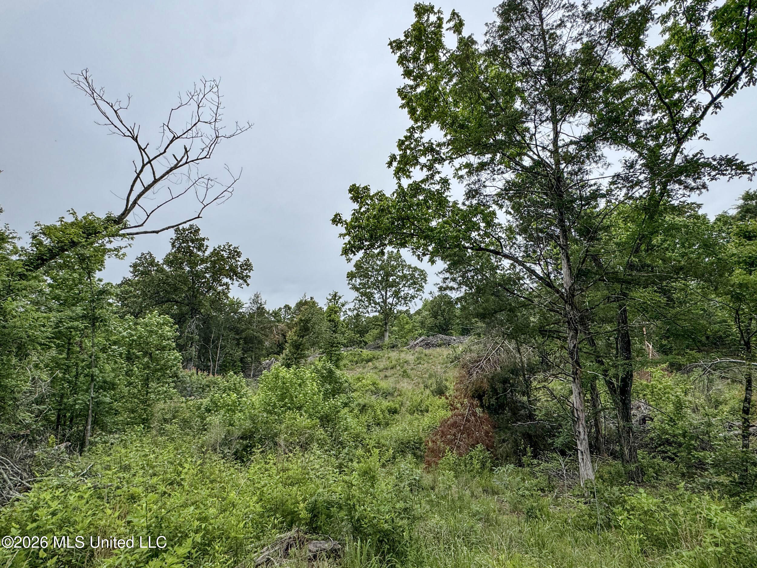 Wayne Massie Road Property Photo 99