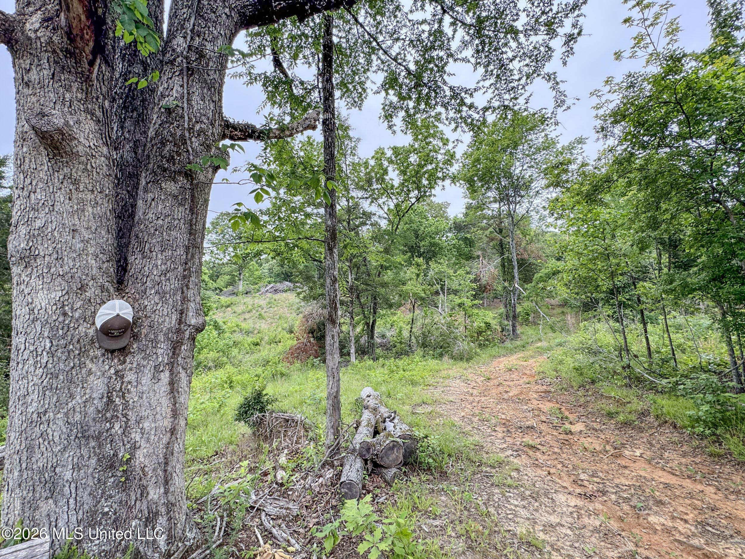 Wayne Massie Road Property Photo 101