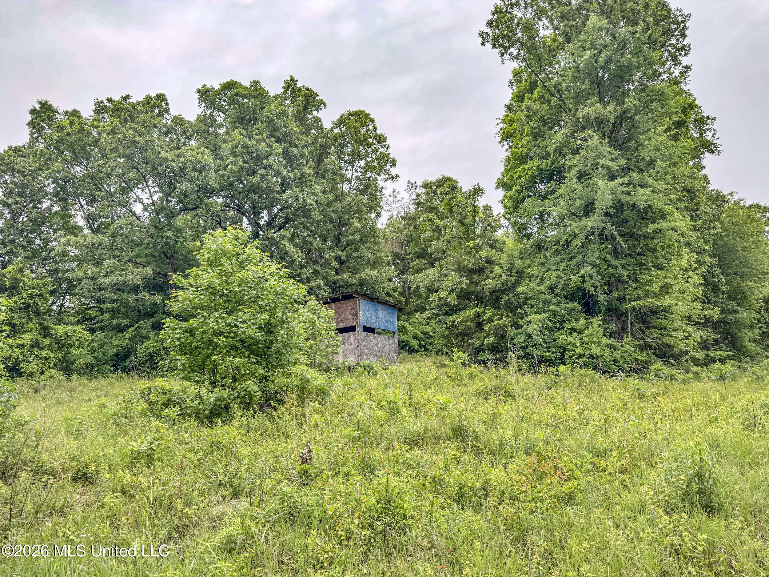 Wayne Massie Road Property Photo 108