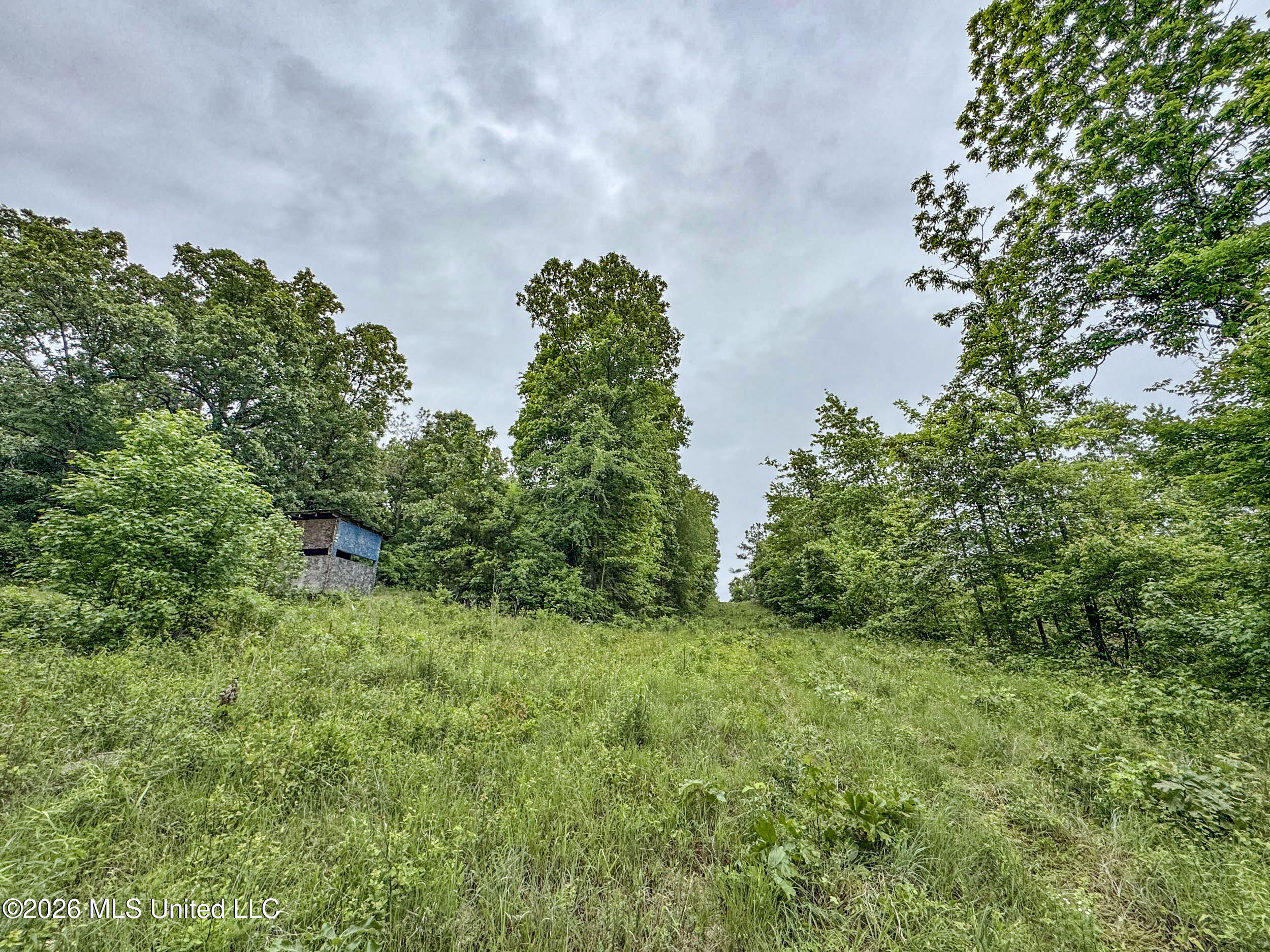 Wayne Massie Road Property Photo 109