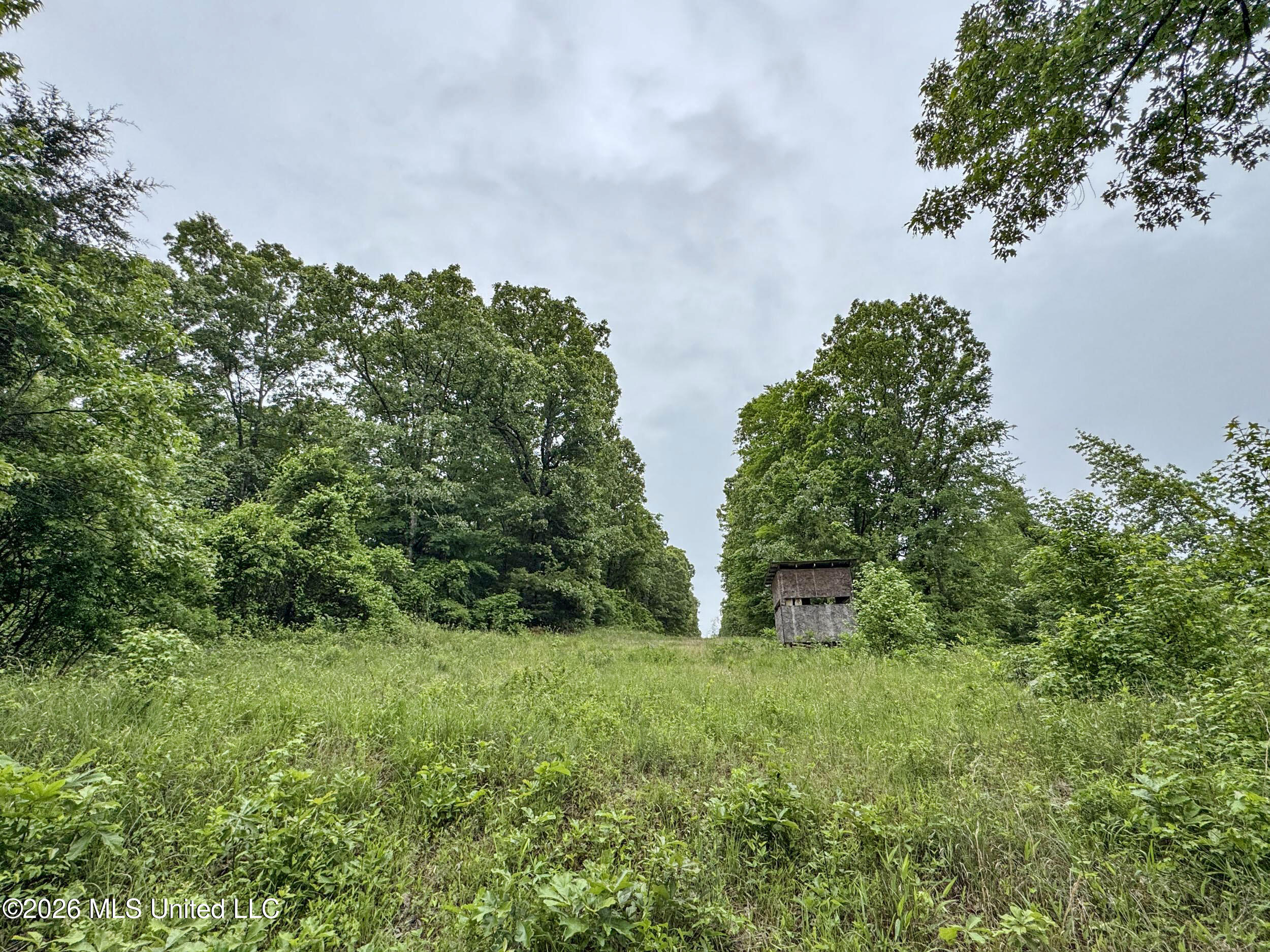 Wayne Massie Road Property Photo 110