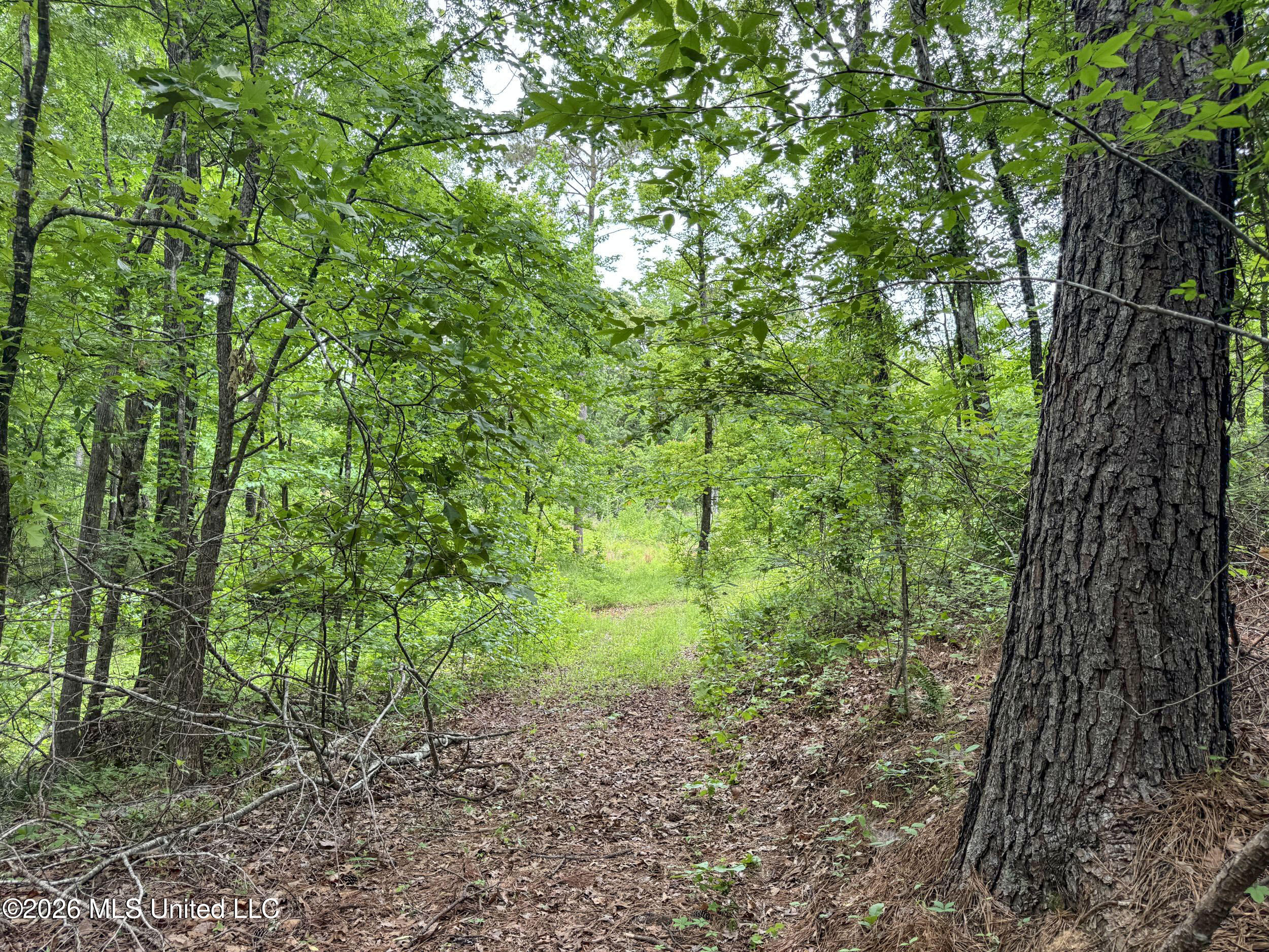 Wayne Massie Road Property Photo 111