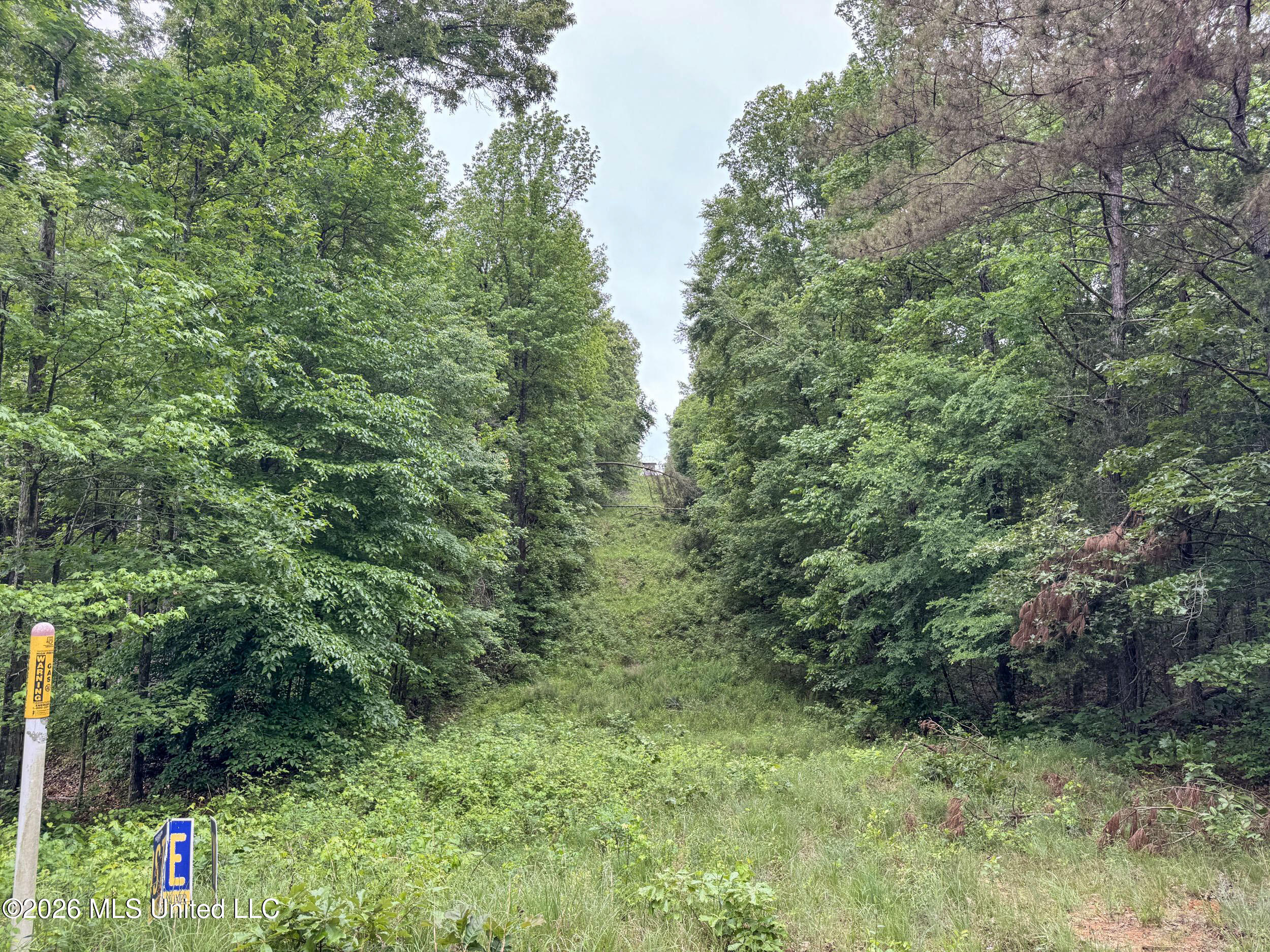 Wayne Massie Road Property Photo 114