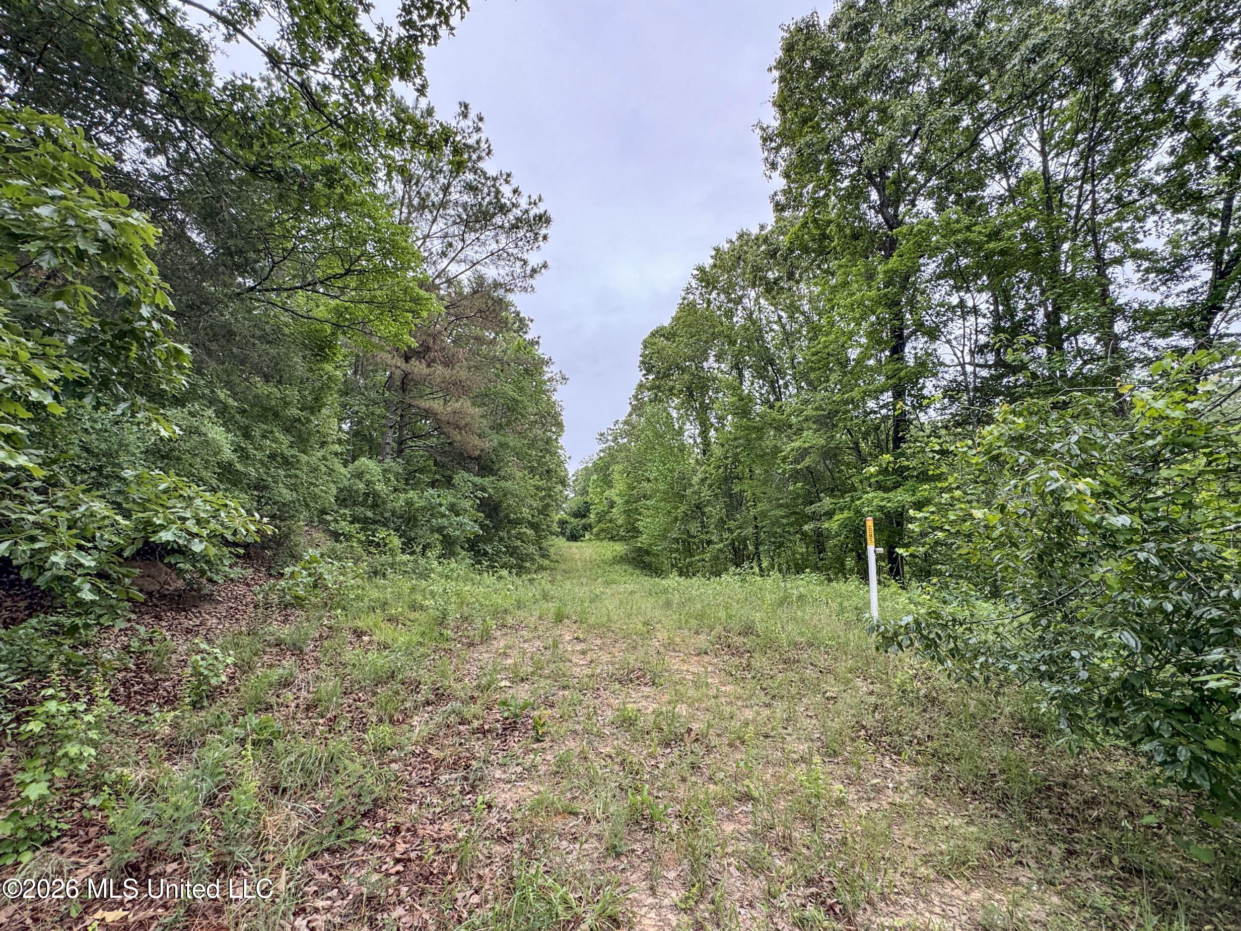 Wayne Massie Road Property Photo 117