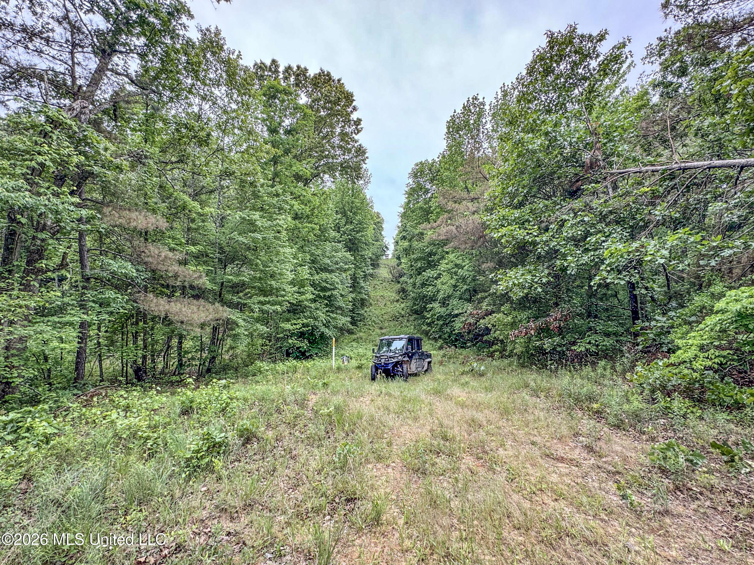 Wayne Massie Road Property Photo 118