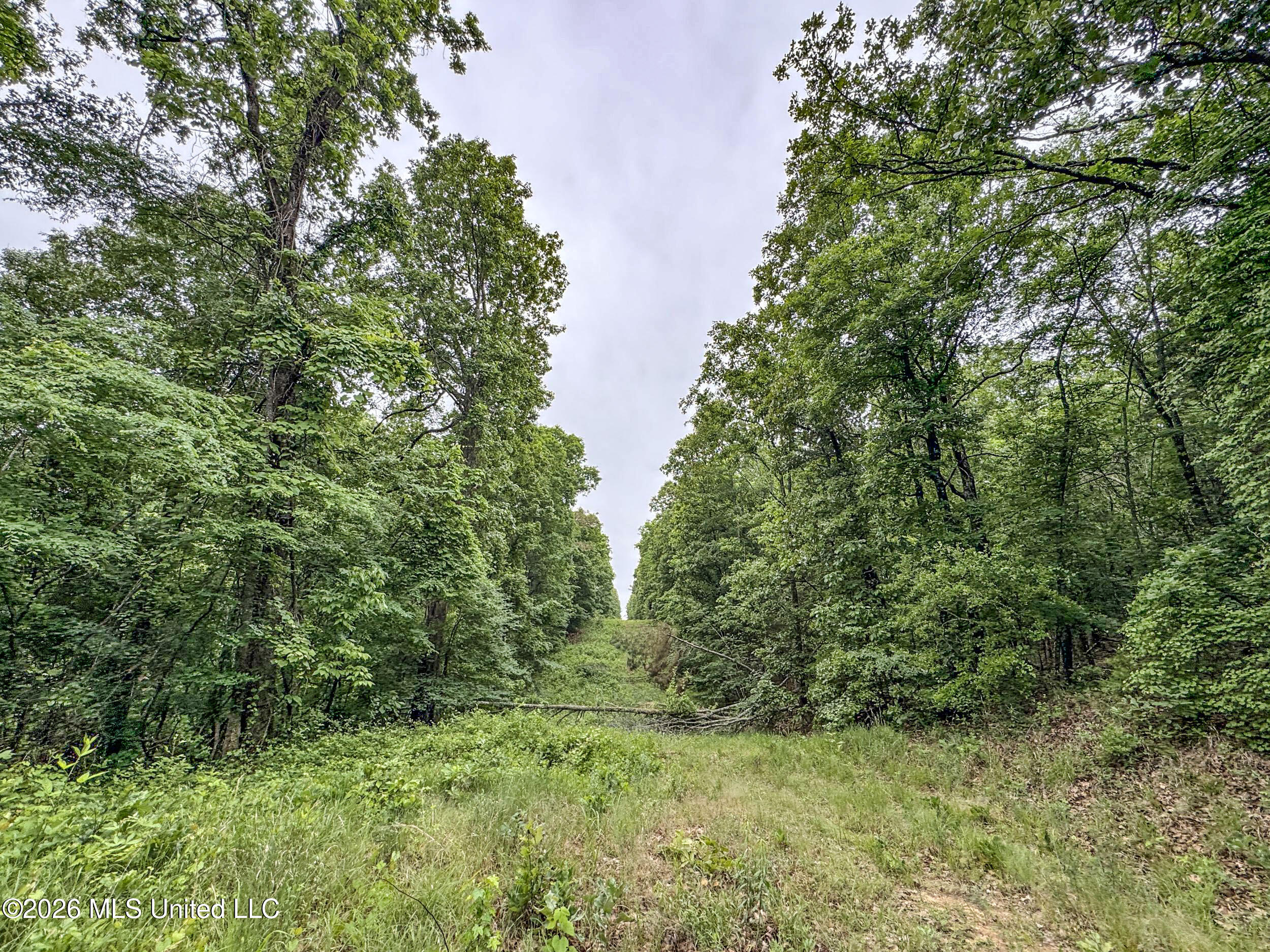 Wayne Massie Road Property Photo 120