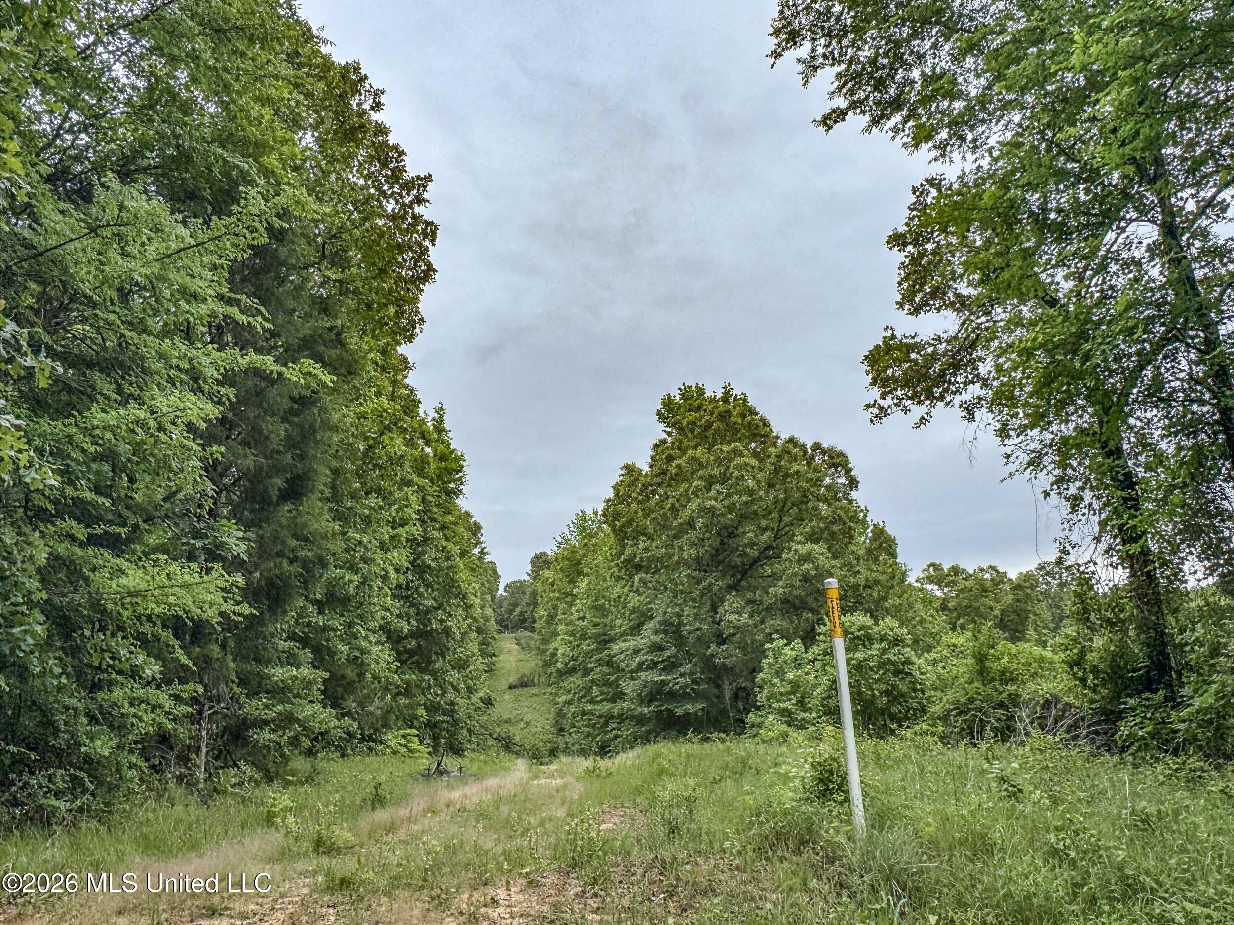 Wayne Massie Road Property Photo 121