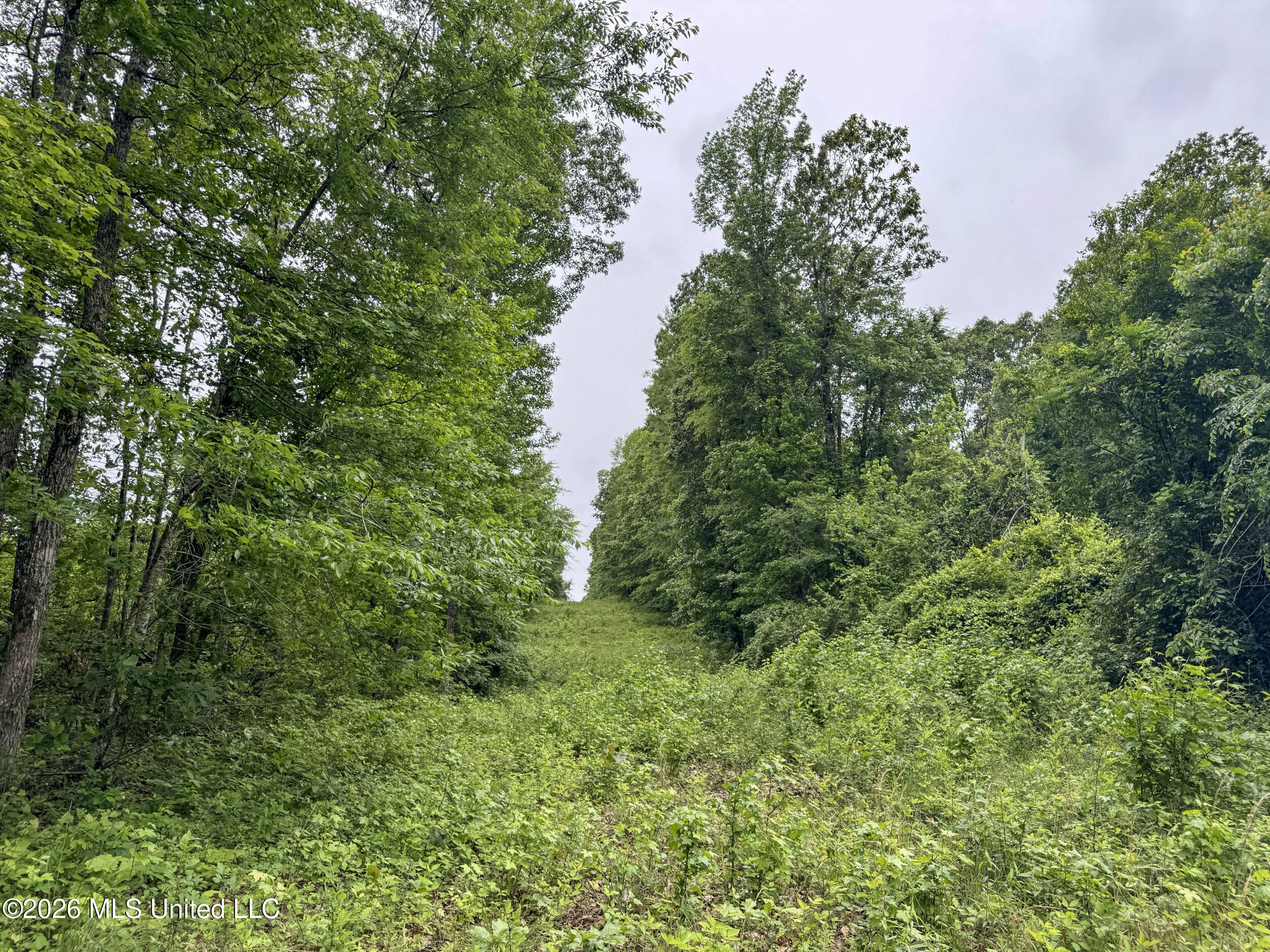 Wayne Massie Road Property Photo 122