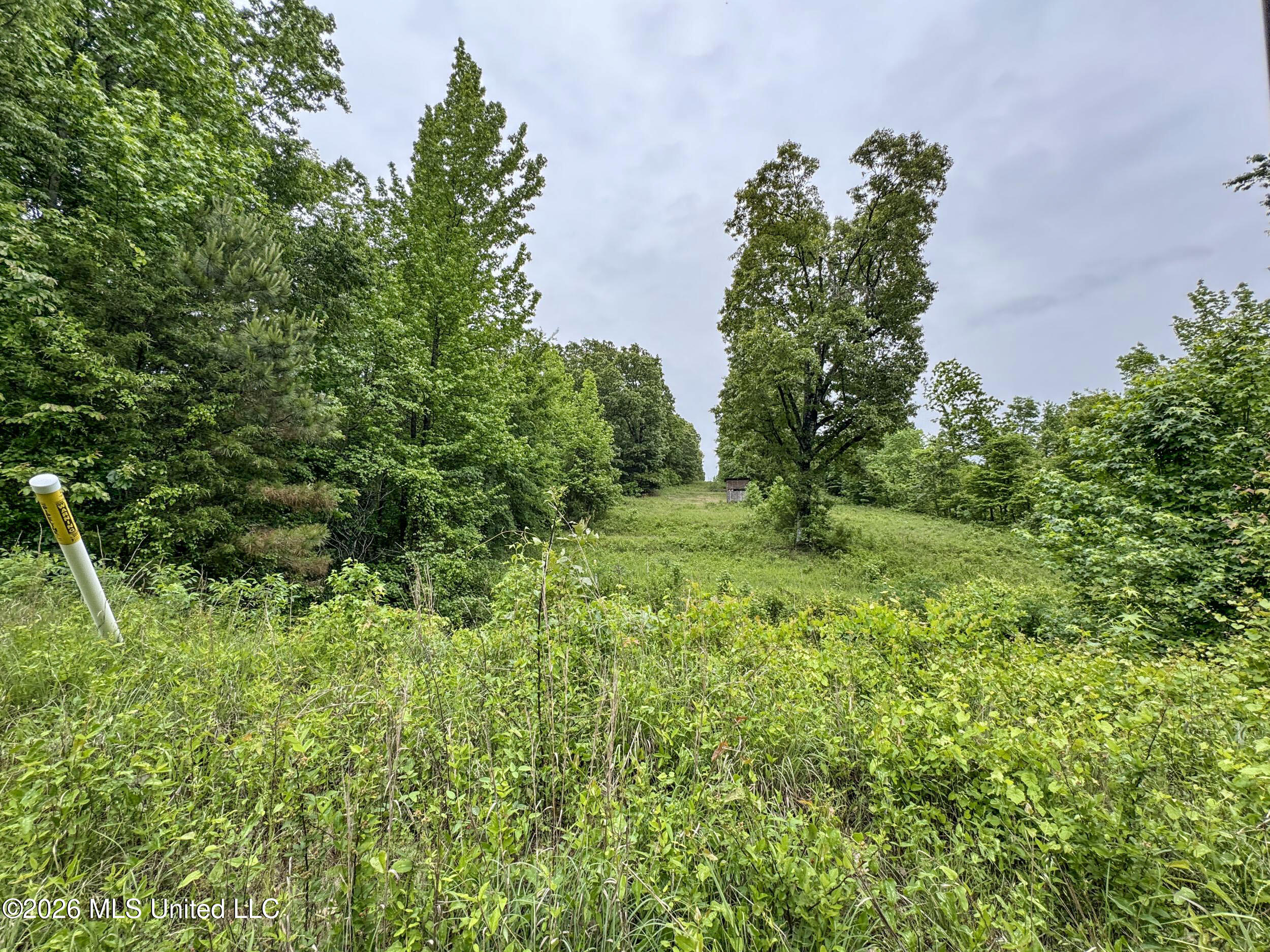 Wayne Massie Road Property Photo 124
