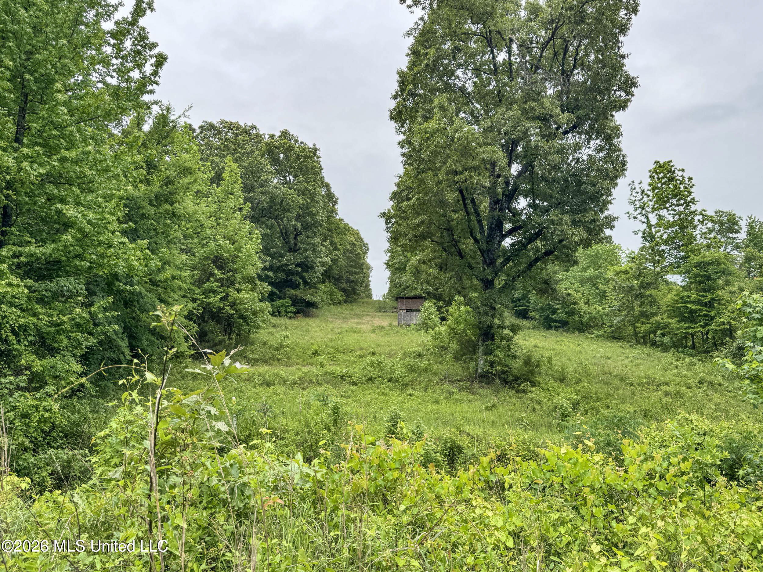 Wayne Massie Road Property Photo 125