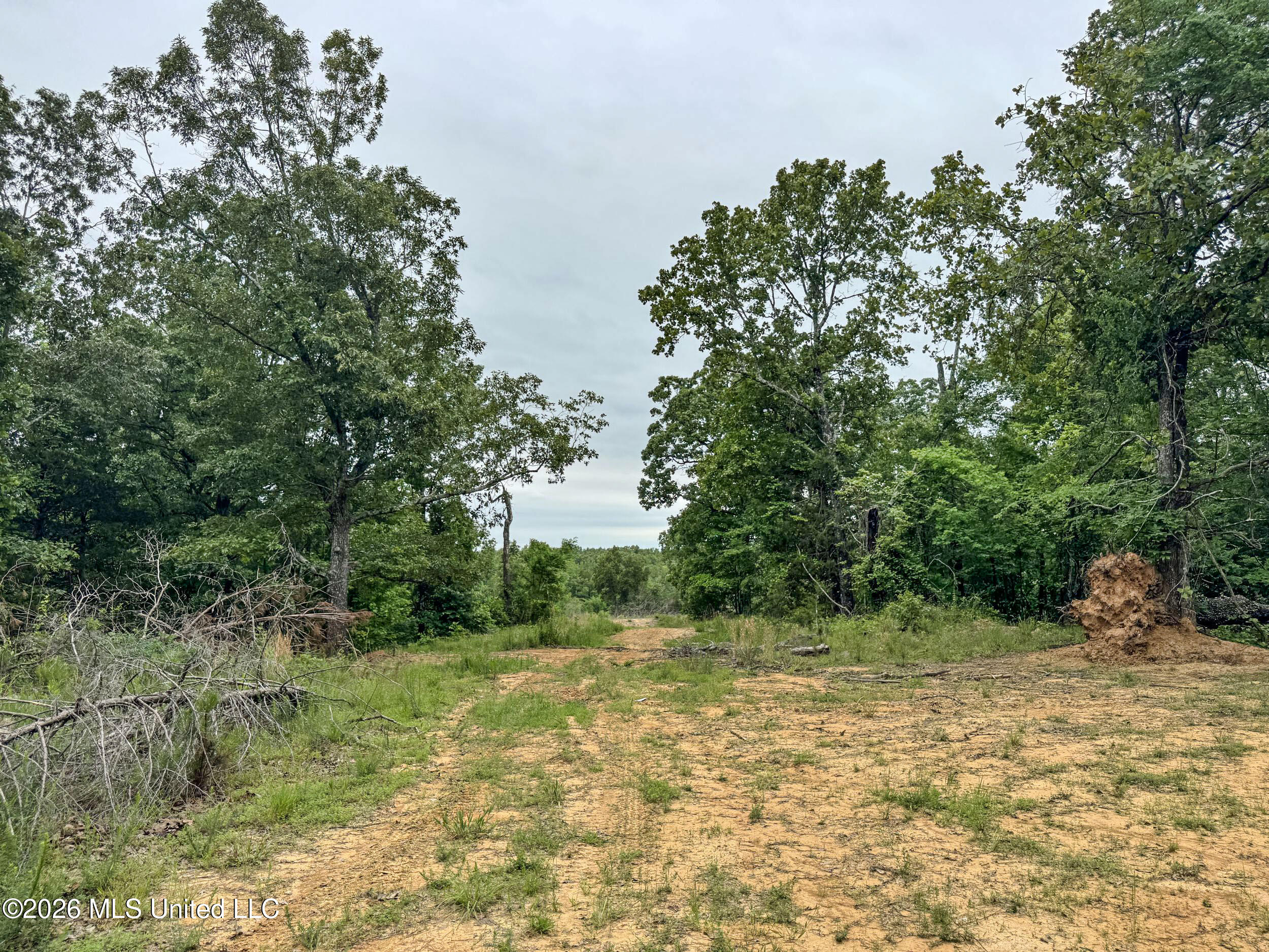 Wayne Massie Road Property Photo 127