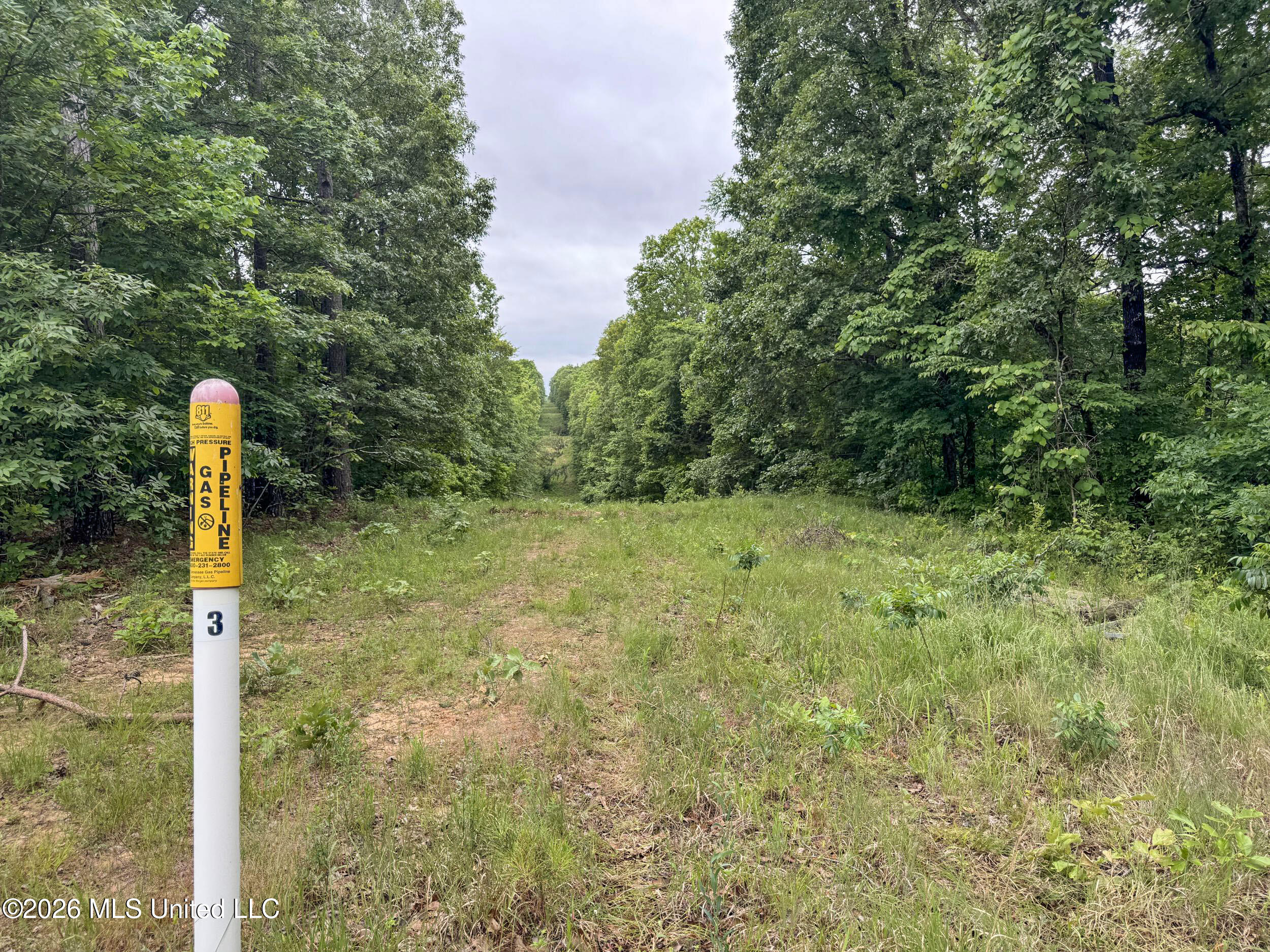 Wayne Massie Road Property Photo 128