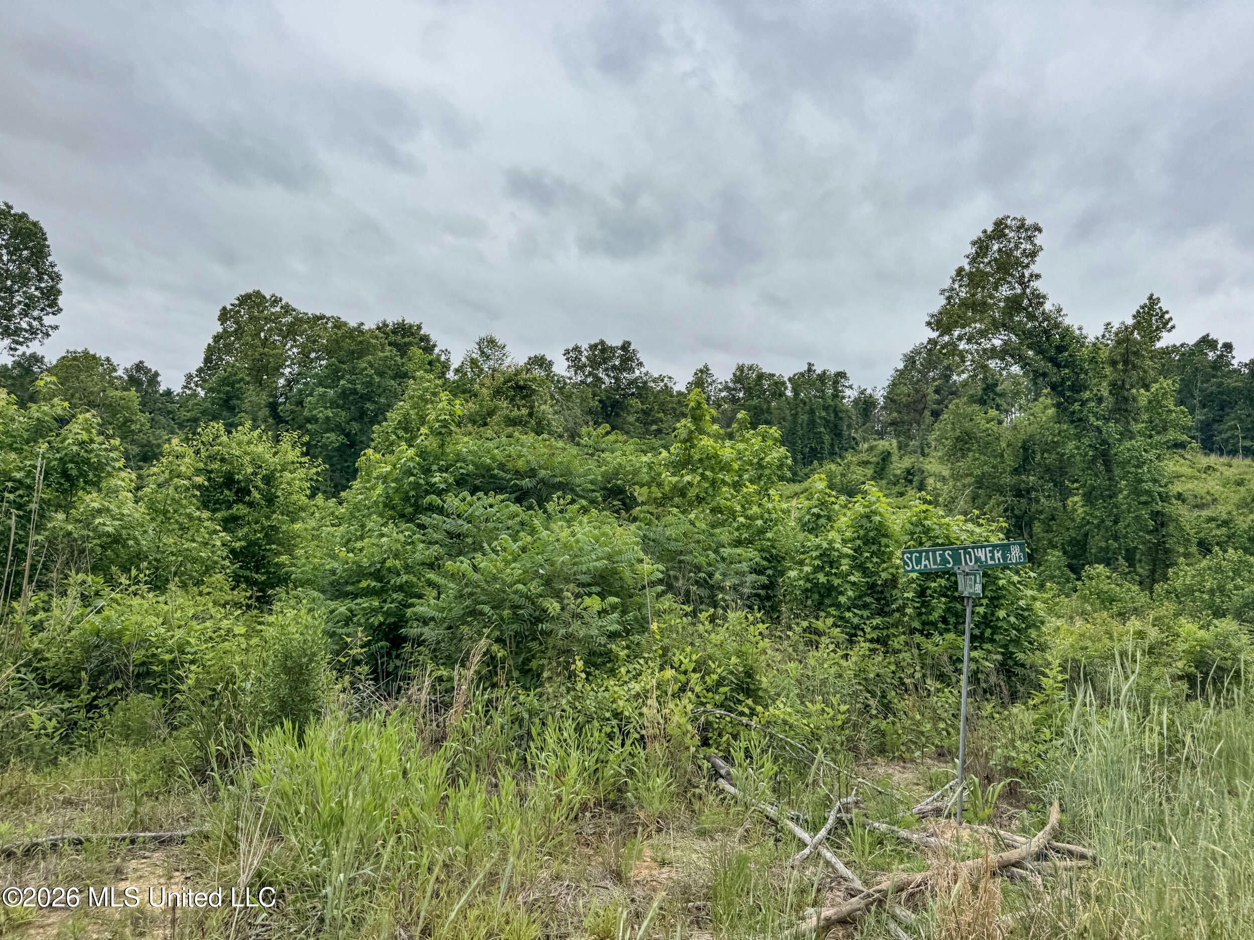 Wayne Massie Road Property Photo 130
