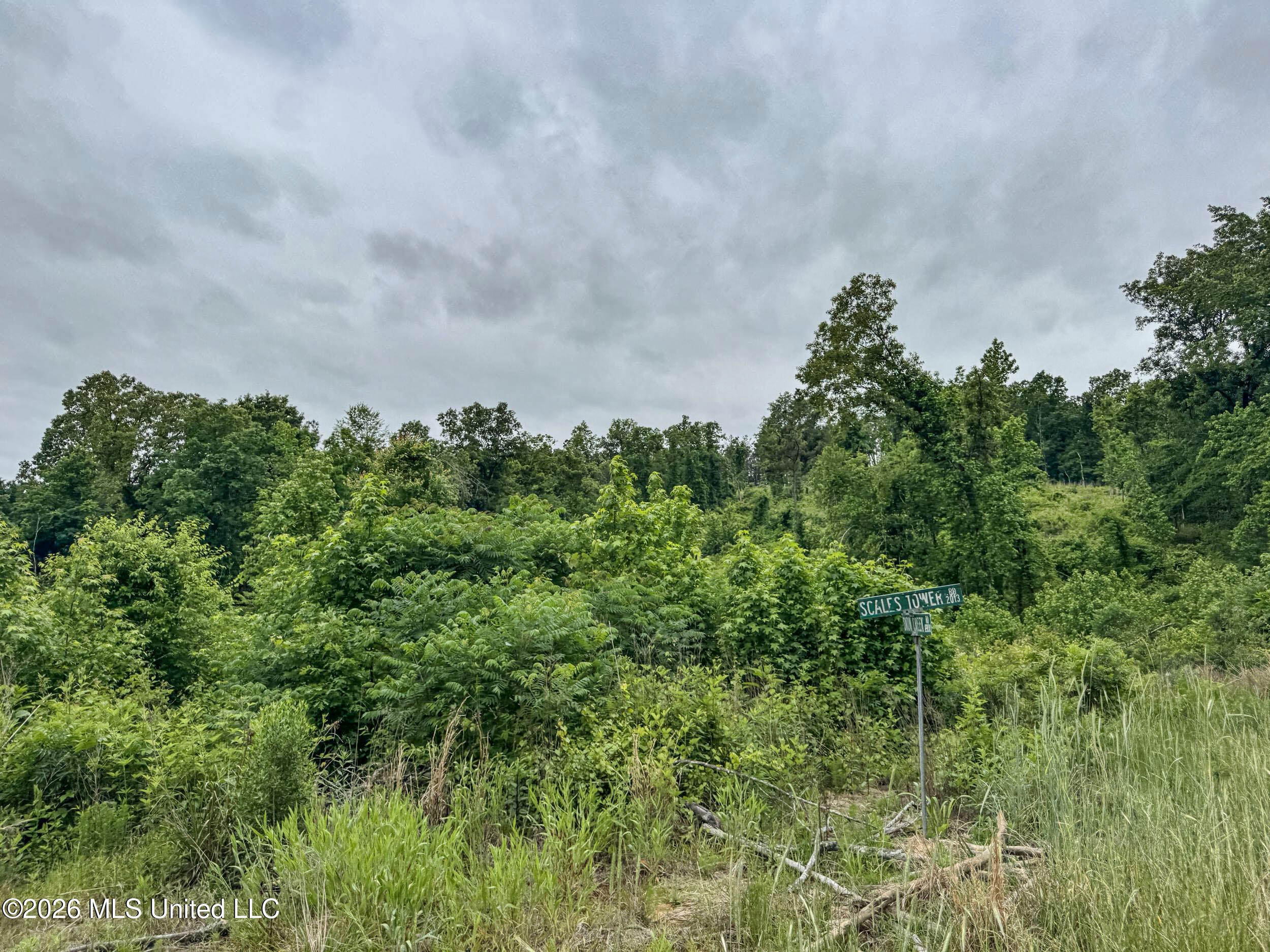 Wayne Massie Road Property Photo 131