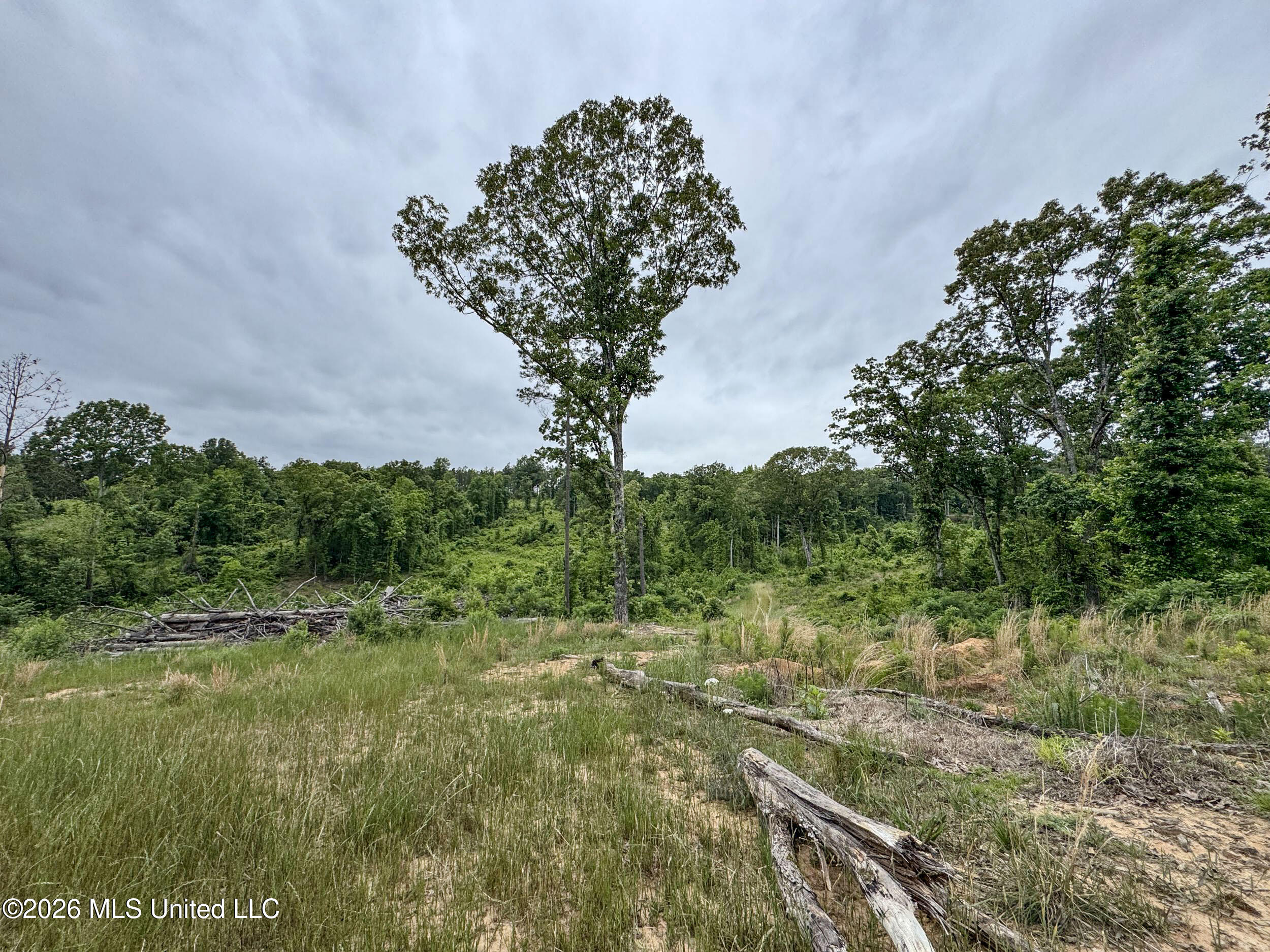 Wayne Massie Road Property Photo 132