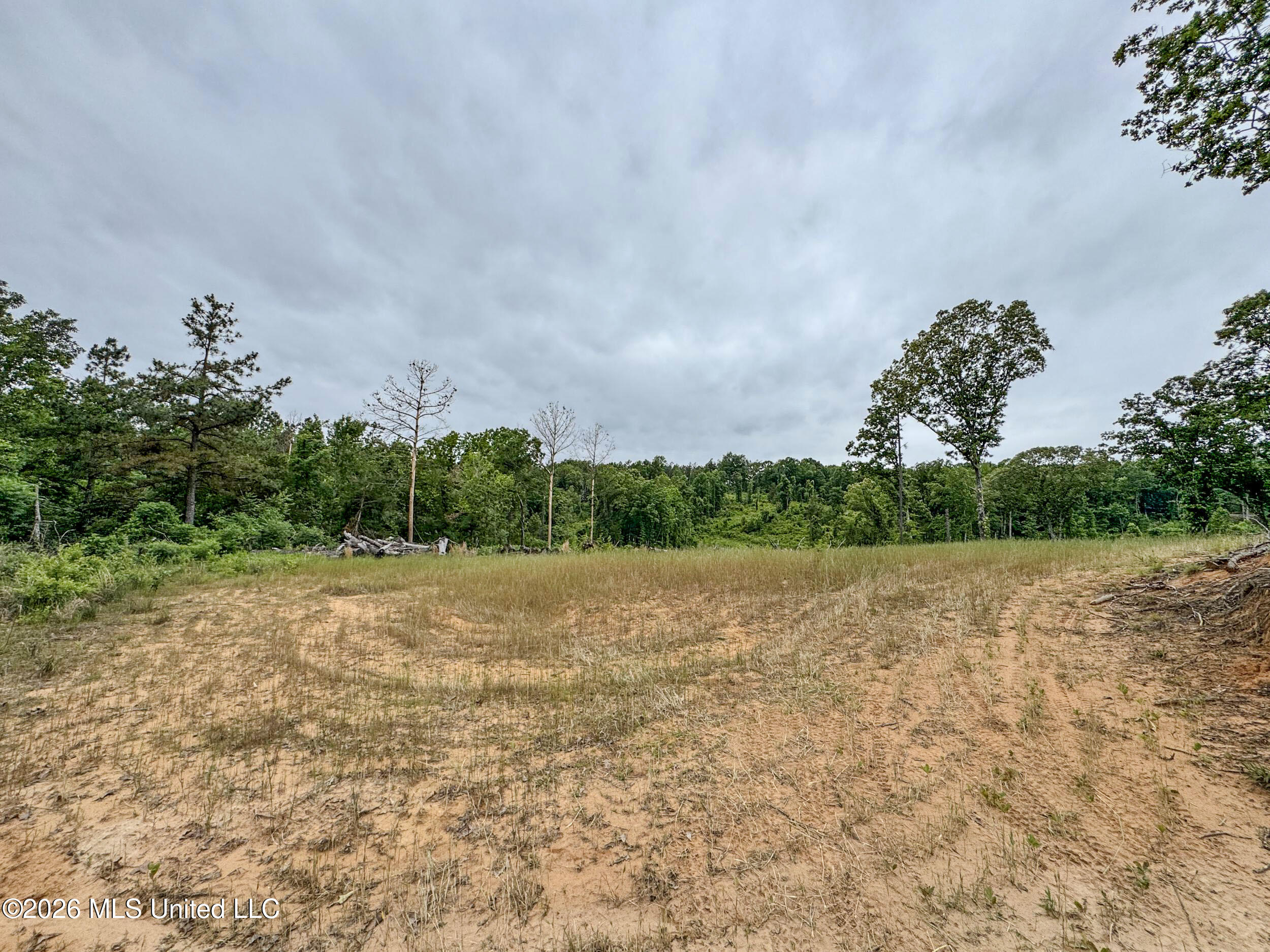 Wayne Massie Road Property Photo 137