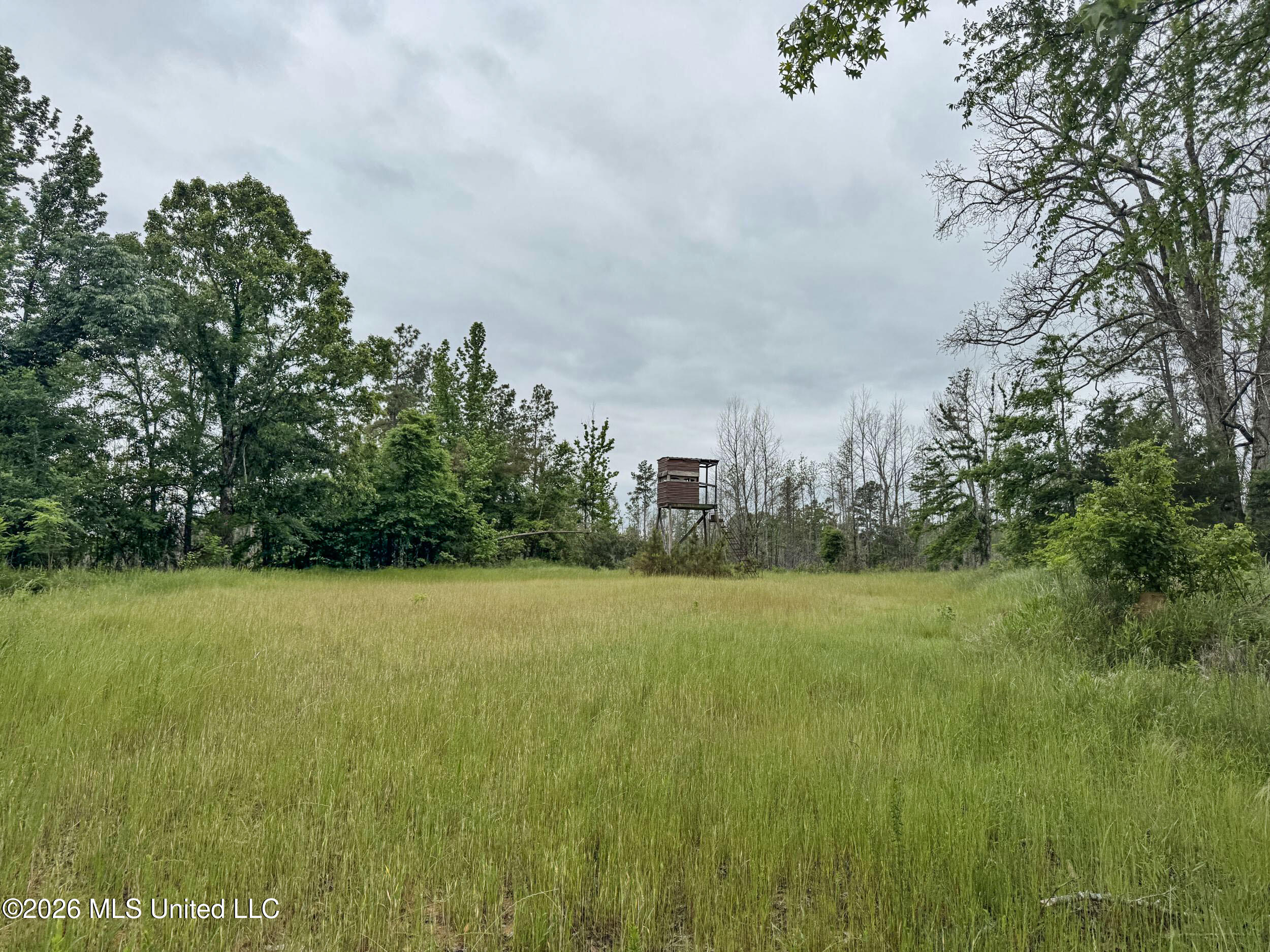 Wayne Massie Road Property Photo 141