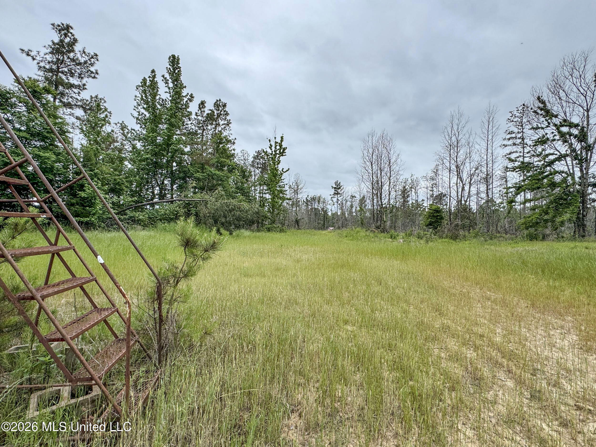 Wayne Massie Road Property Photo 144