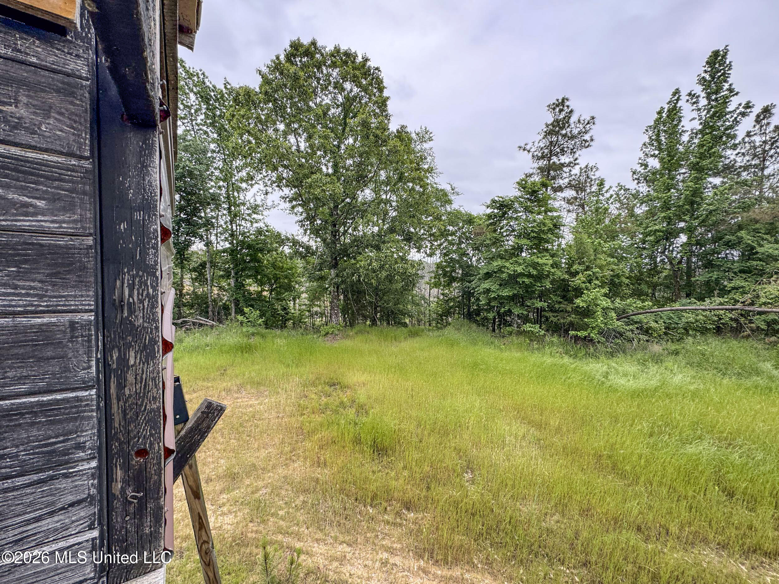Wayne Massie Road Property Photo 150