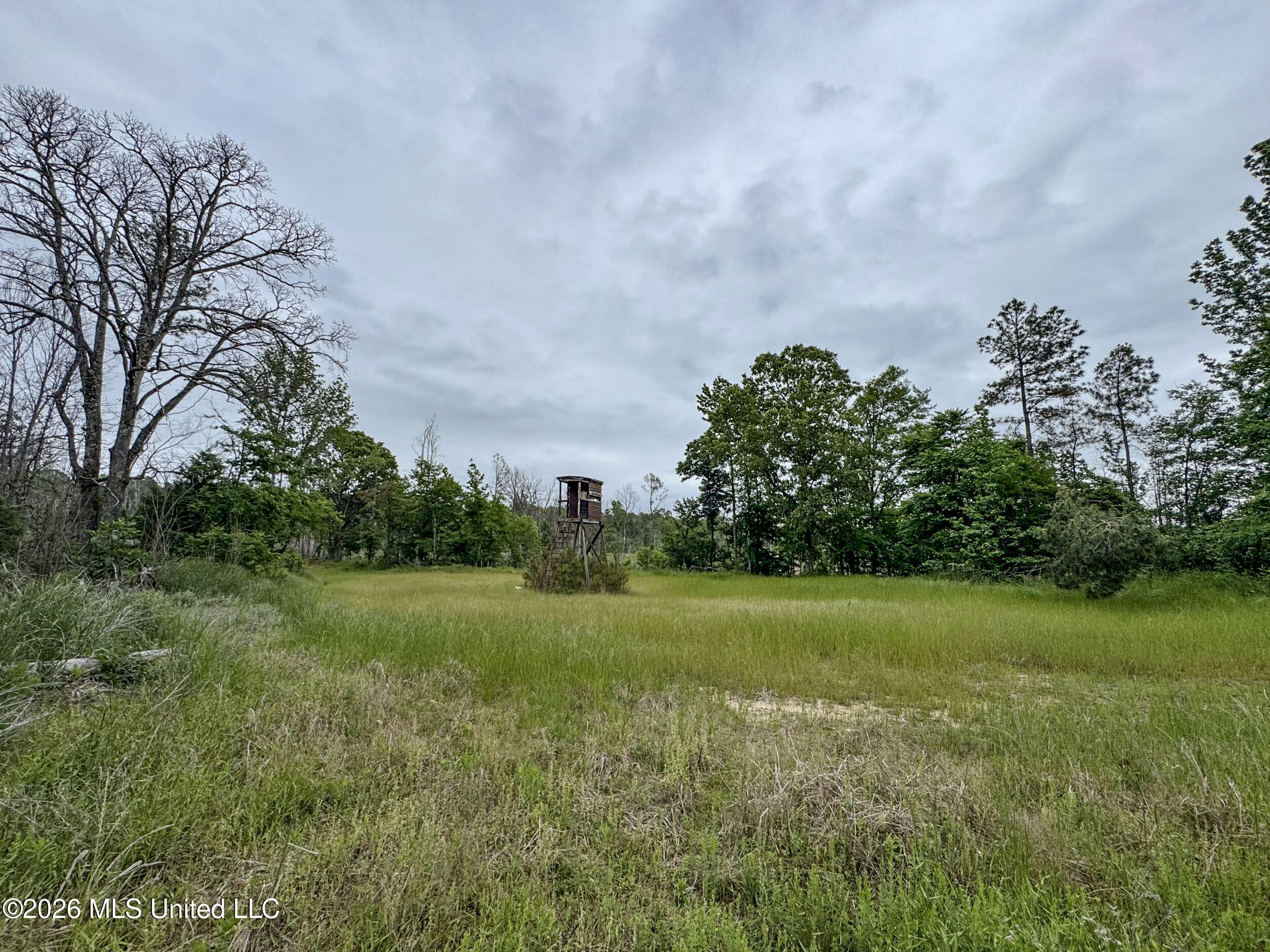 Wayne Massie Road Property Photo 151