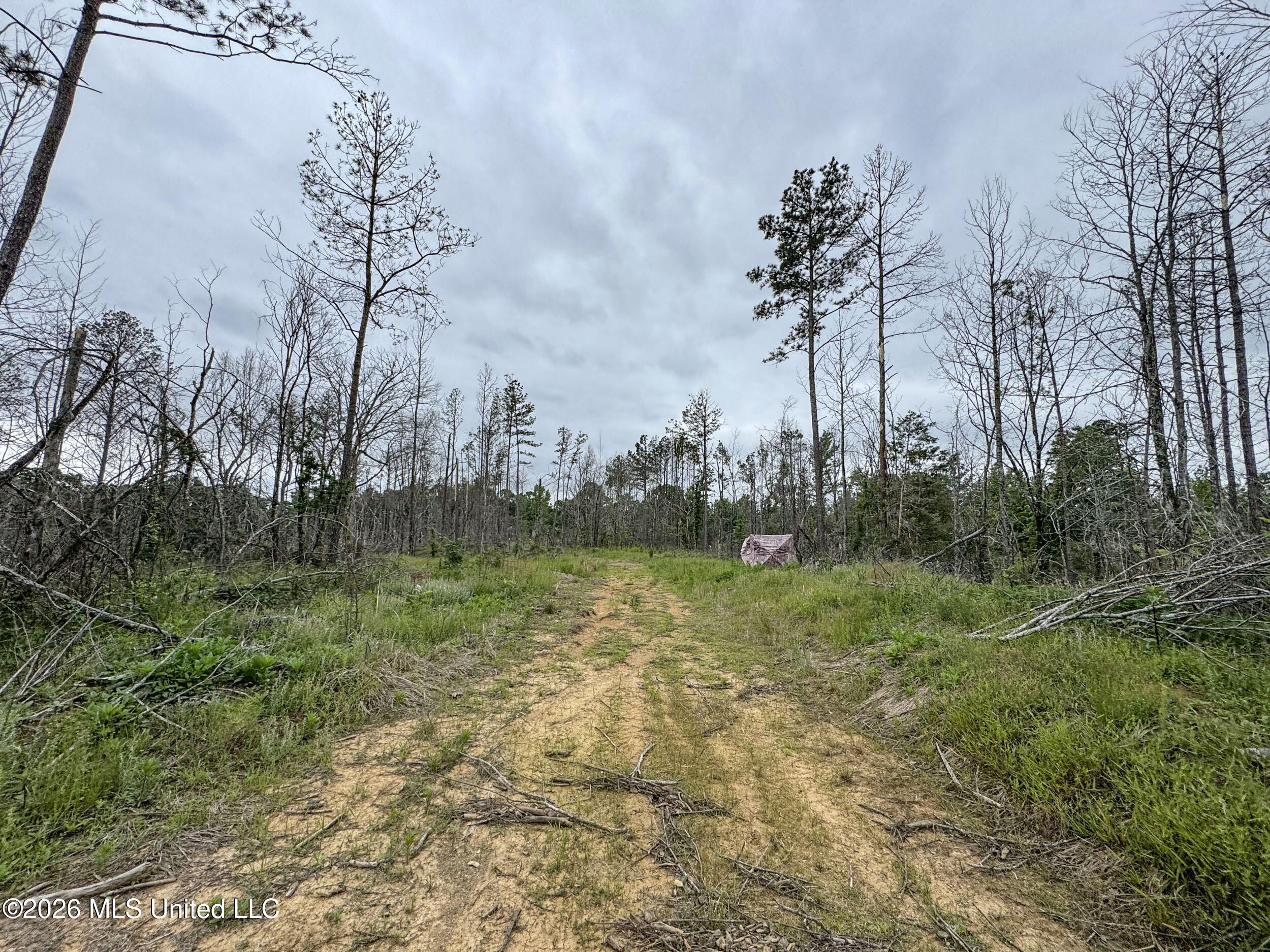 Wayne Massie Road Property Photo 152