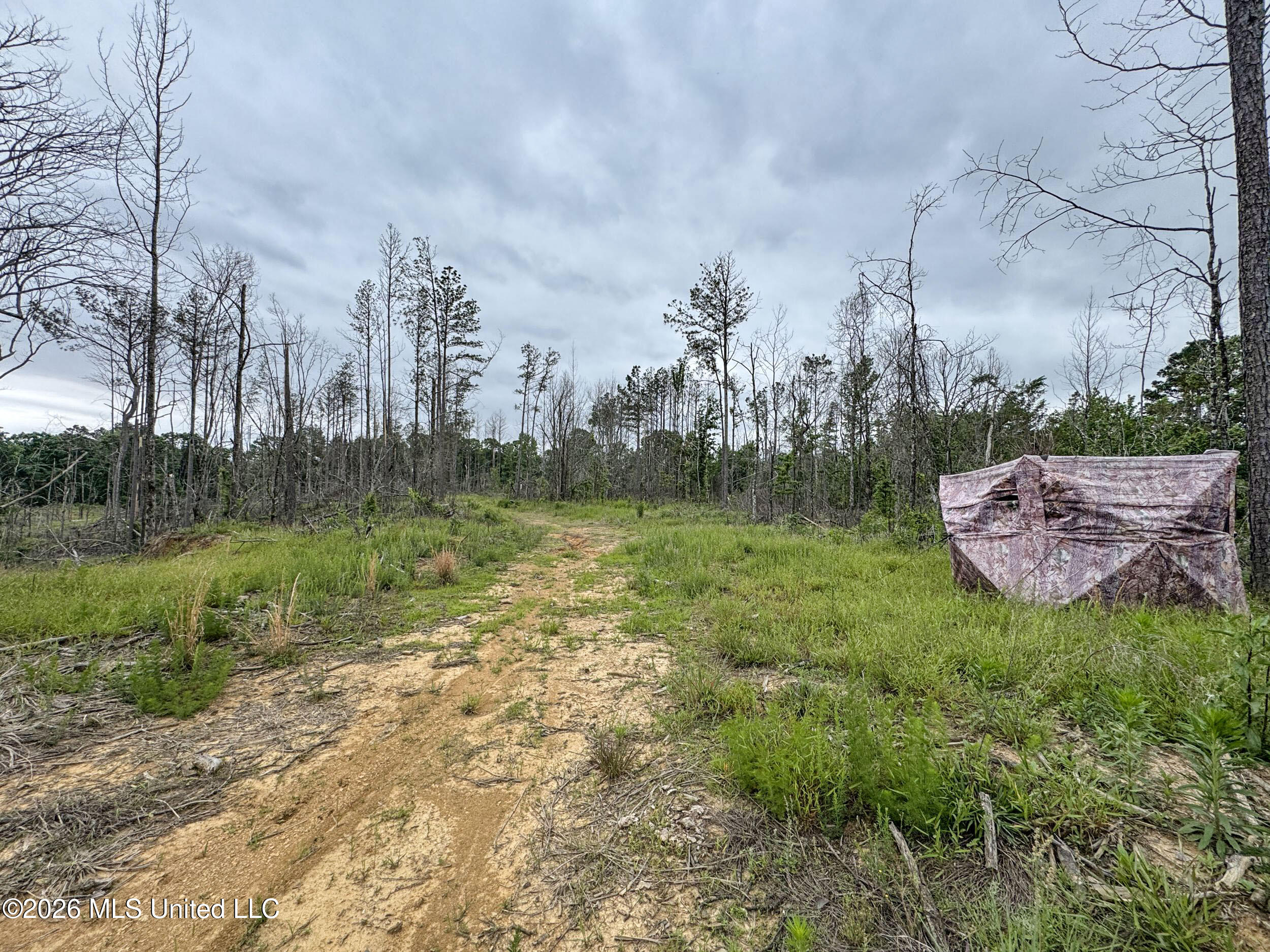 Wayne Massie Road Property Photo 153