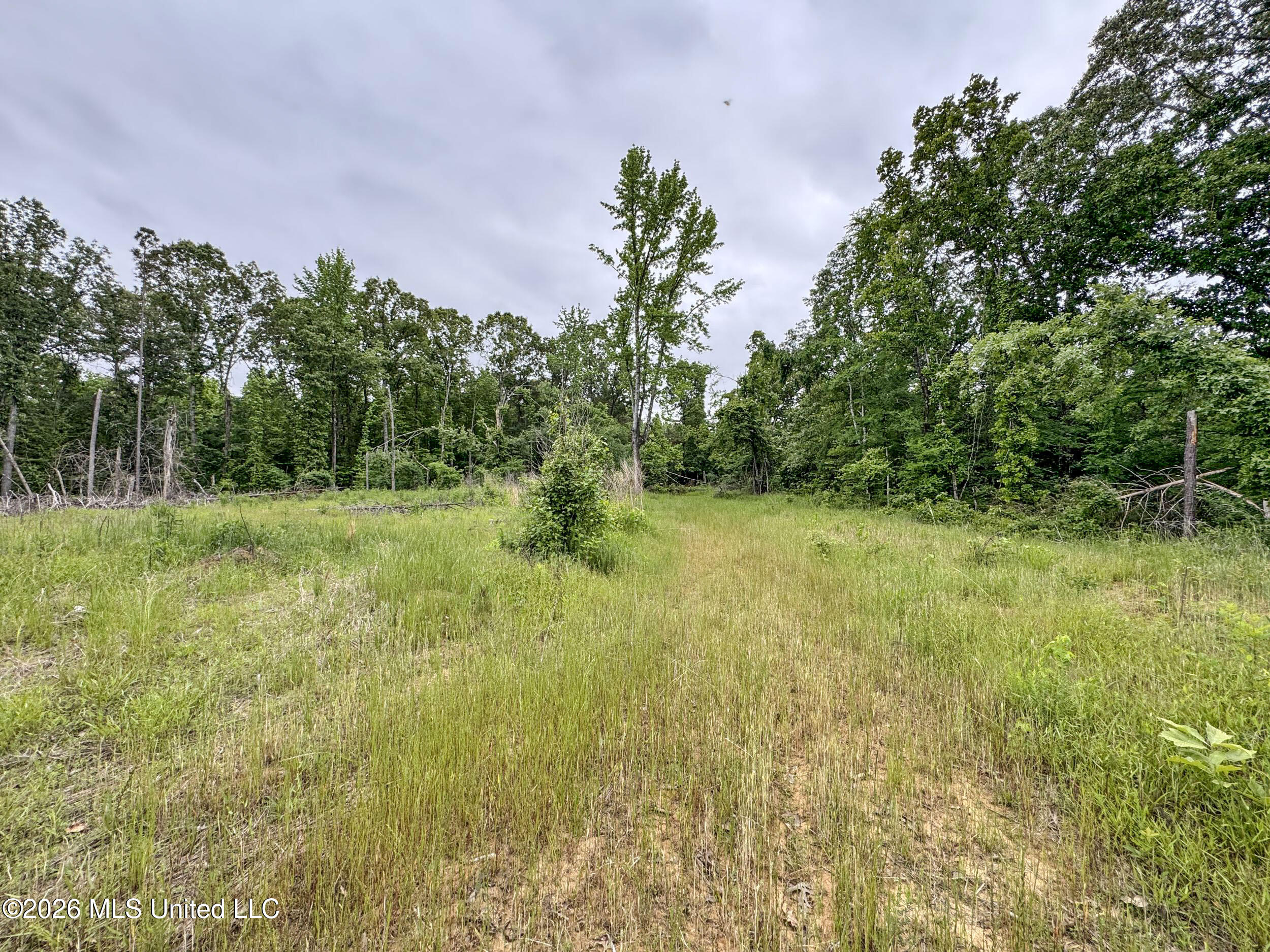 Wayne Massie Road Property Photo 158