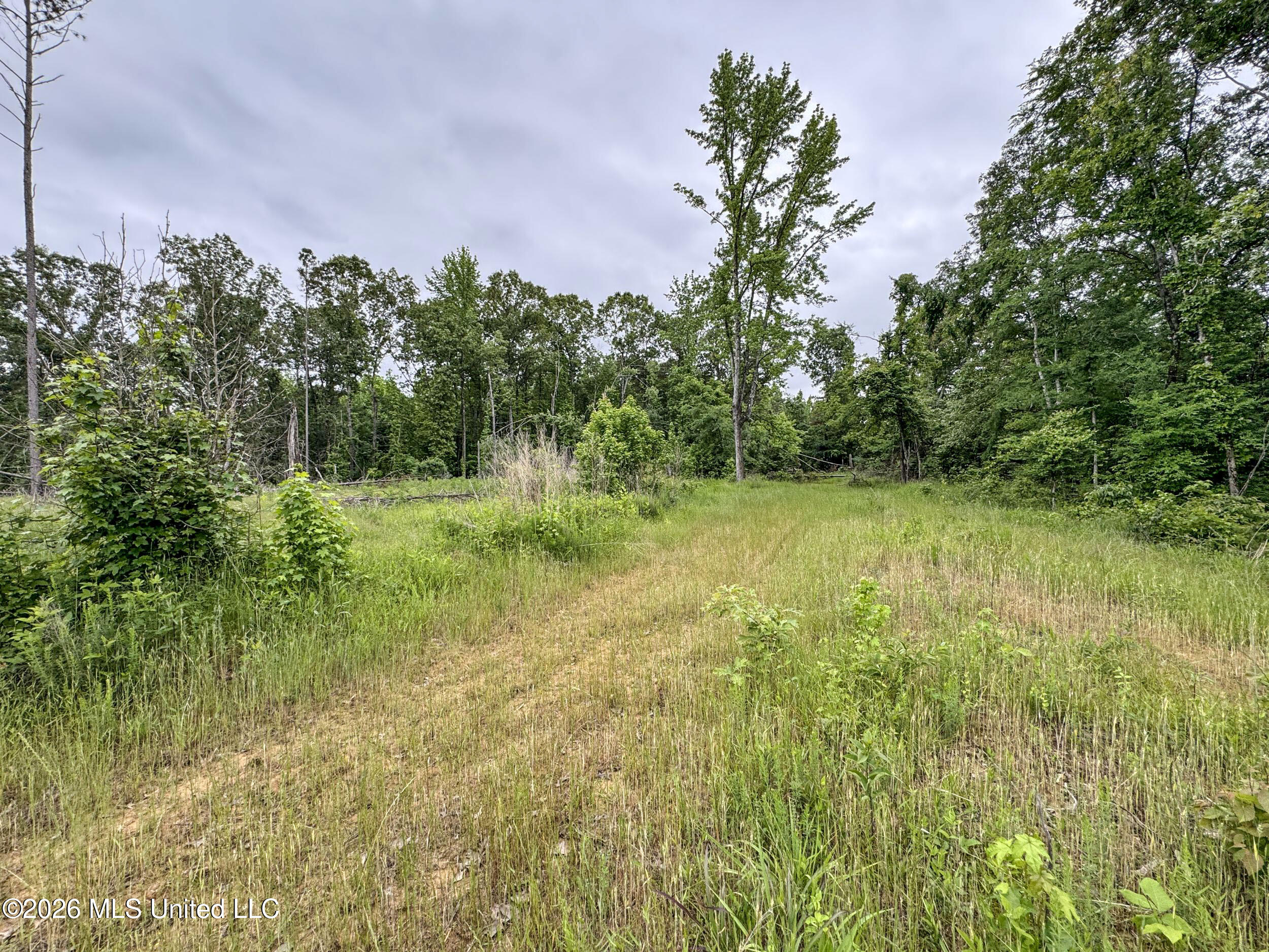 Wayne Massie Road Property Photo 160