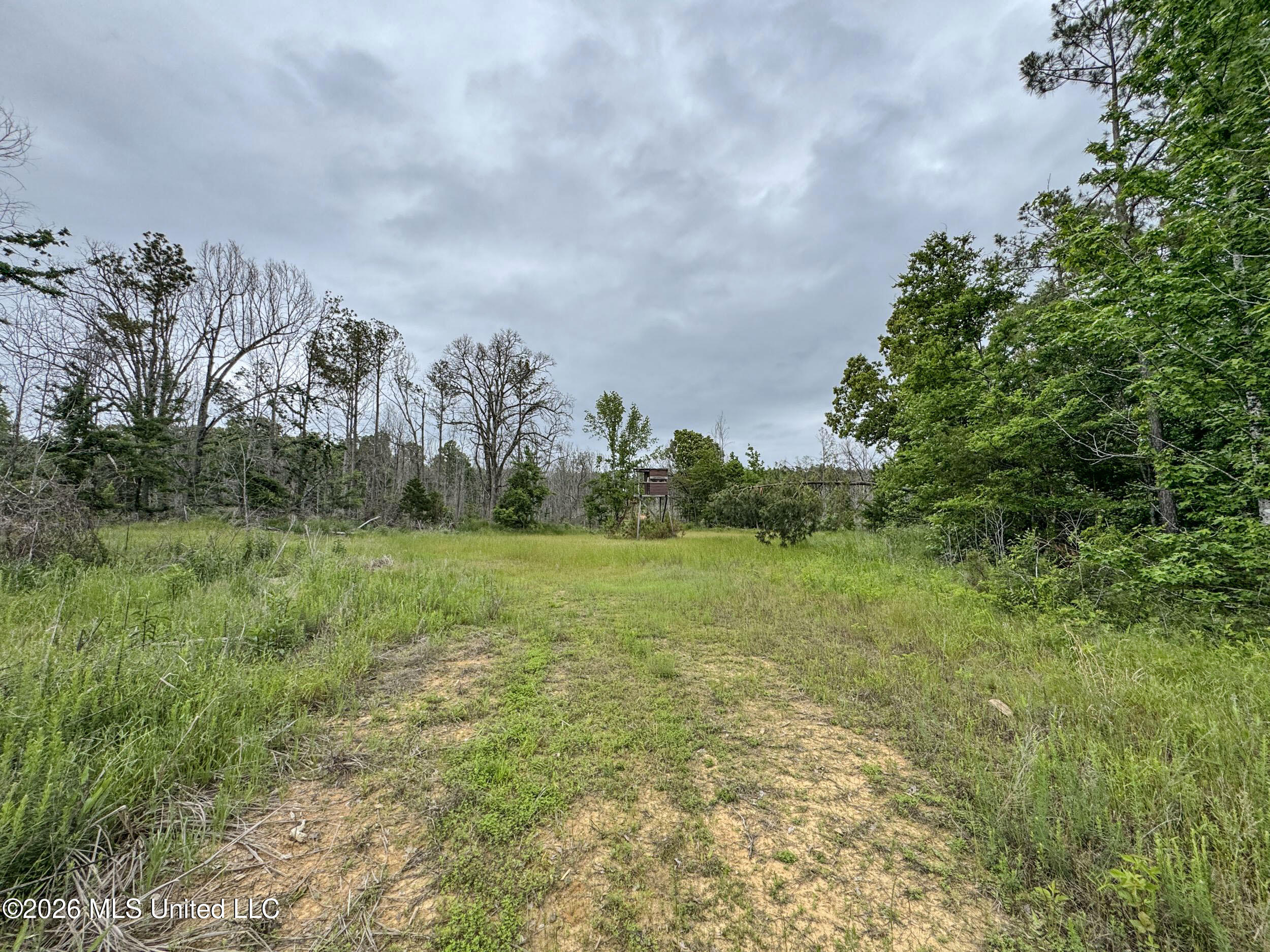 Wayne Massie Road Property Photo 161