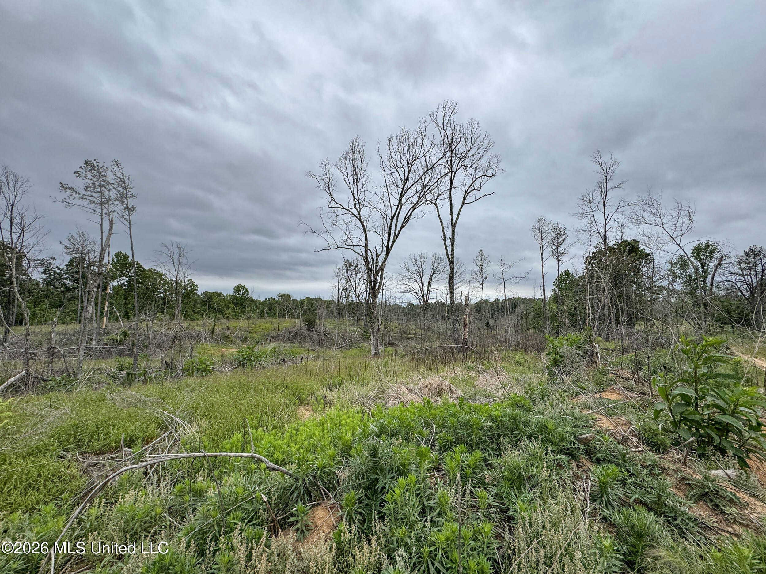 Wayne Massie Road Property Photo 162