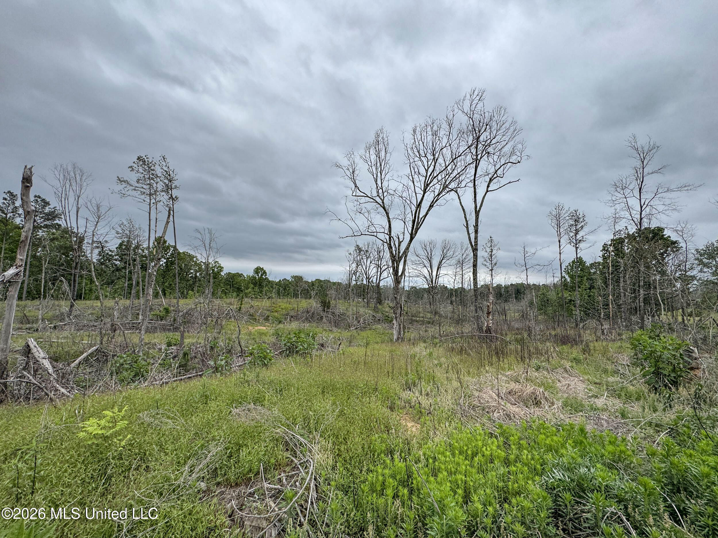 Wayne Massie Road Property Photo 163