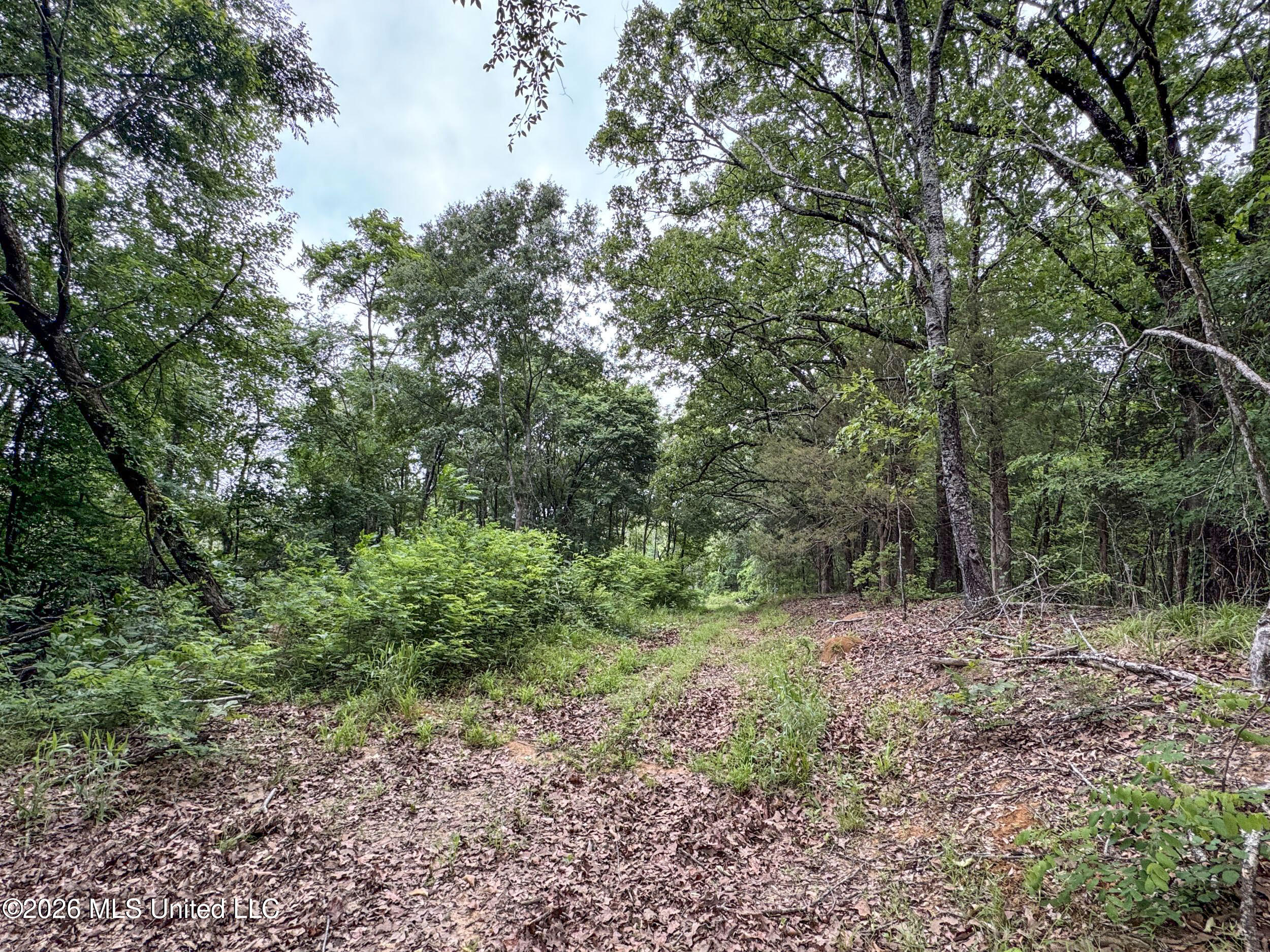 Wayne Massie Road Property Photo 166