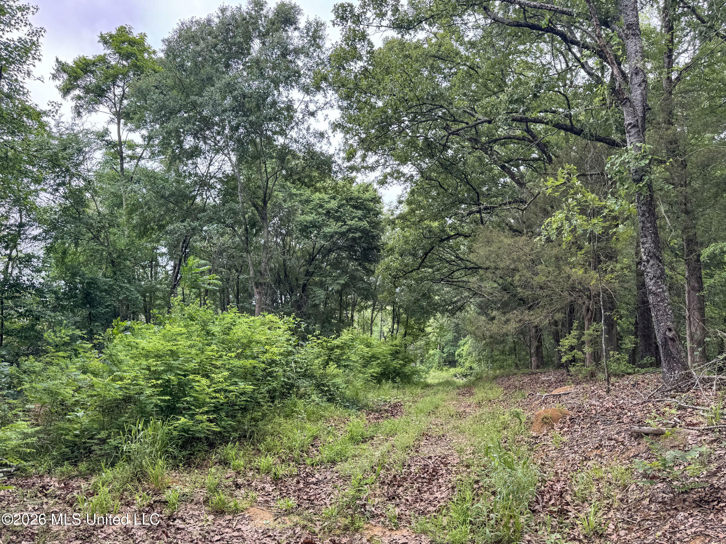 Wayne Massie Road Property Photo 167