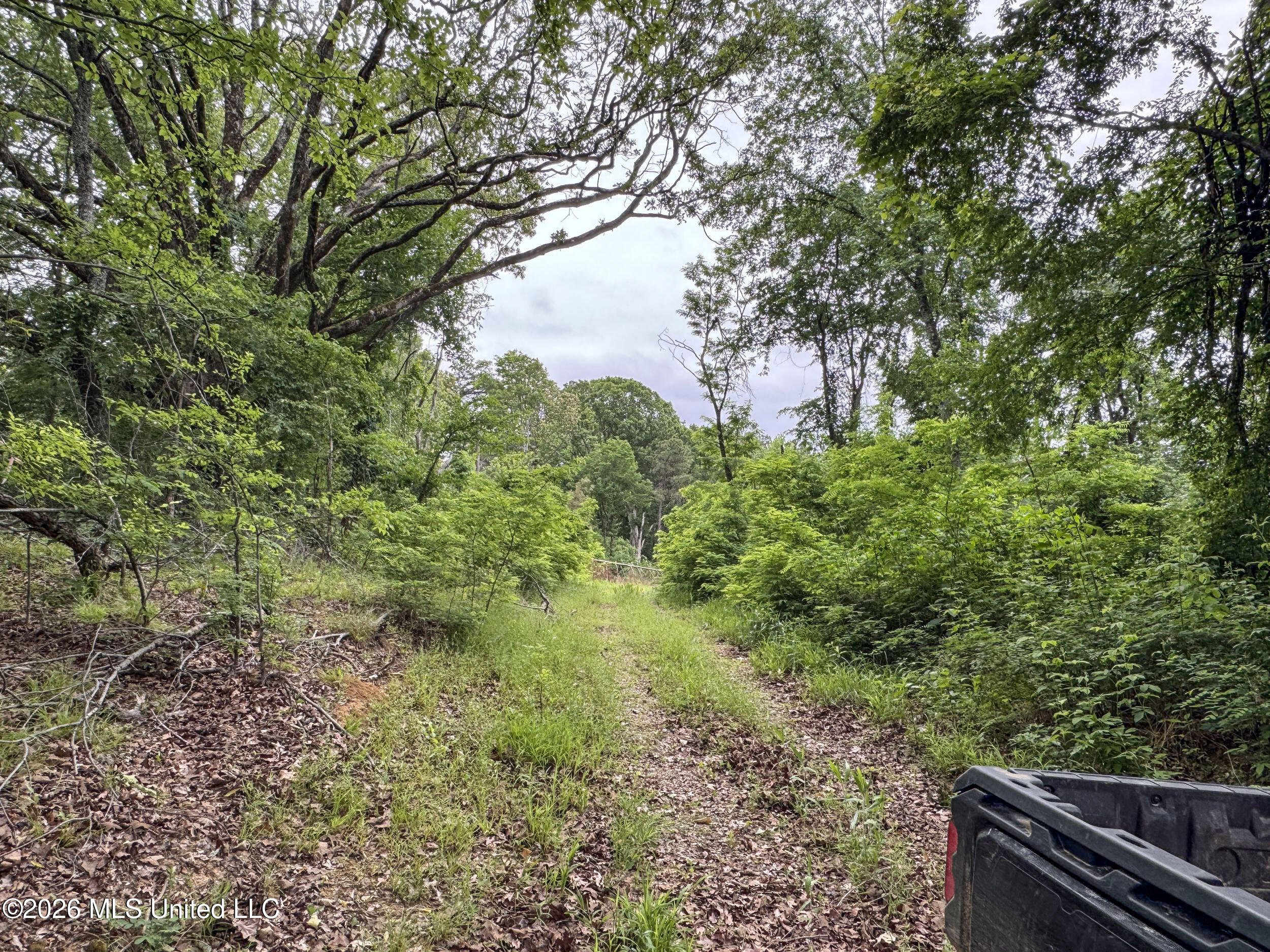 Wayne Massie Road Property Photo 168