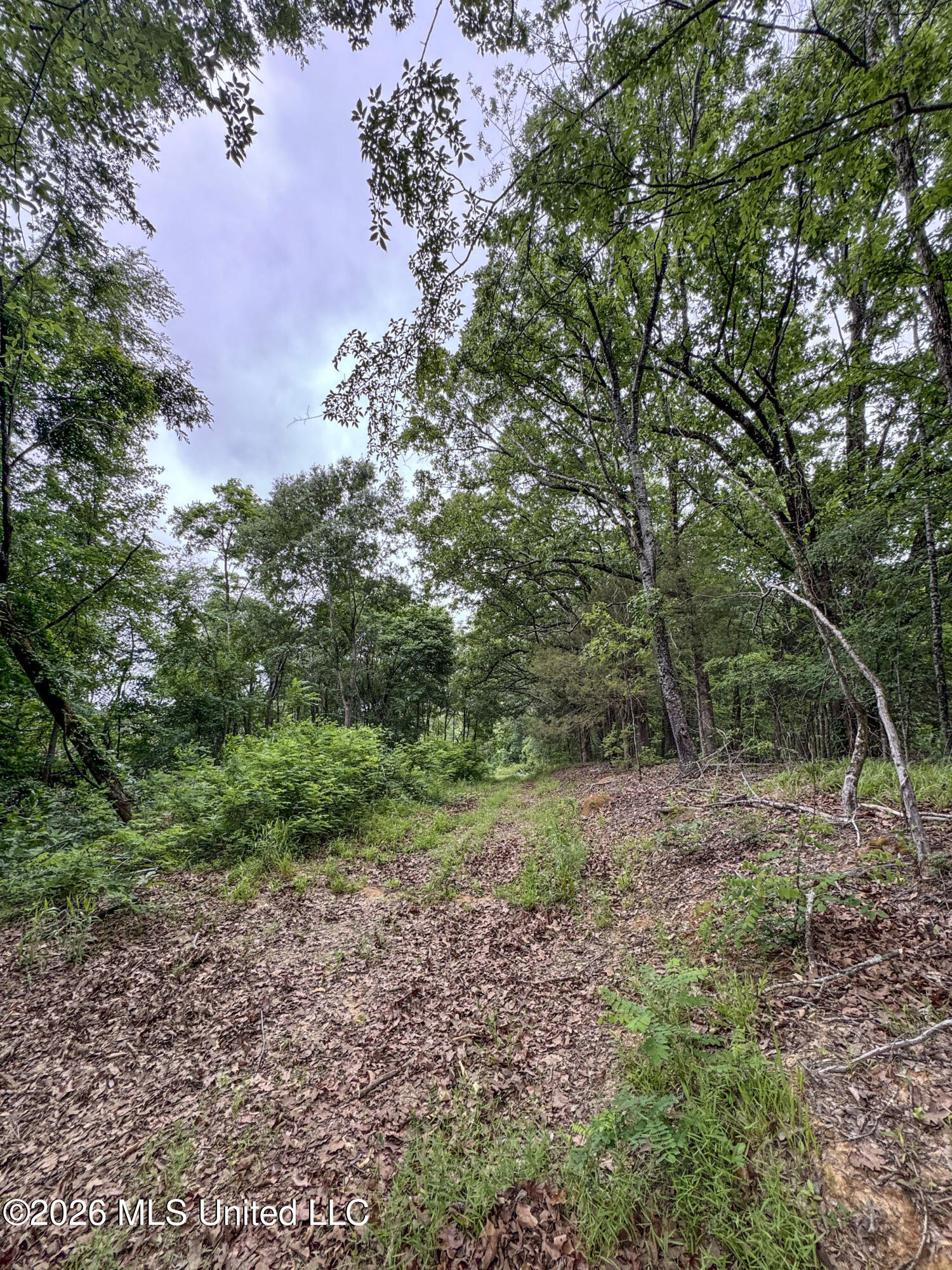Wayne Massie Road Property Photo 169