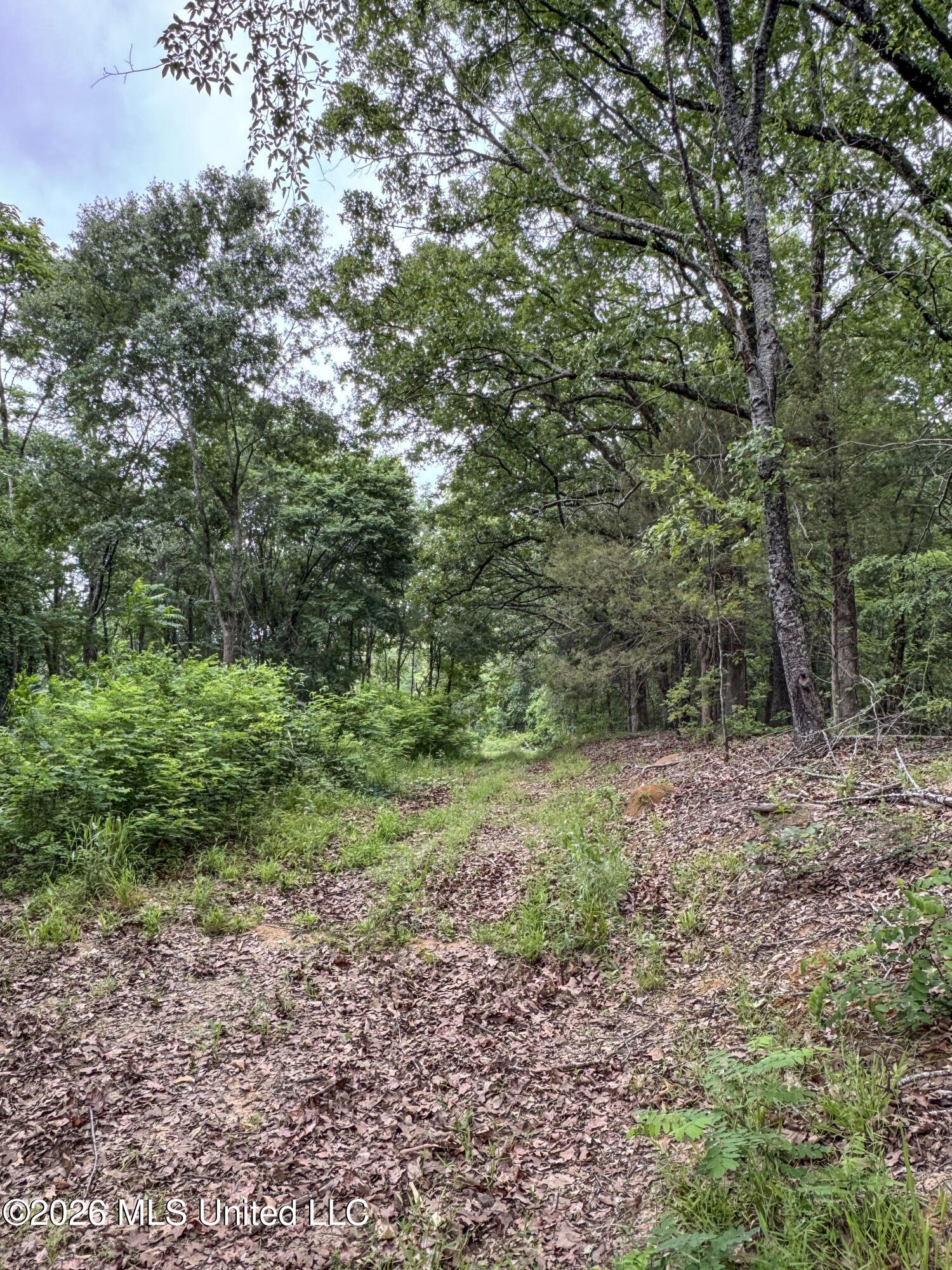 Wayne Massie Road Property Photo 170