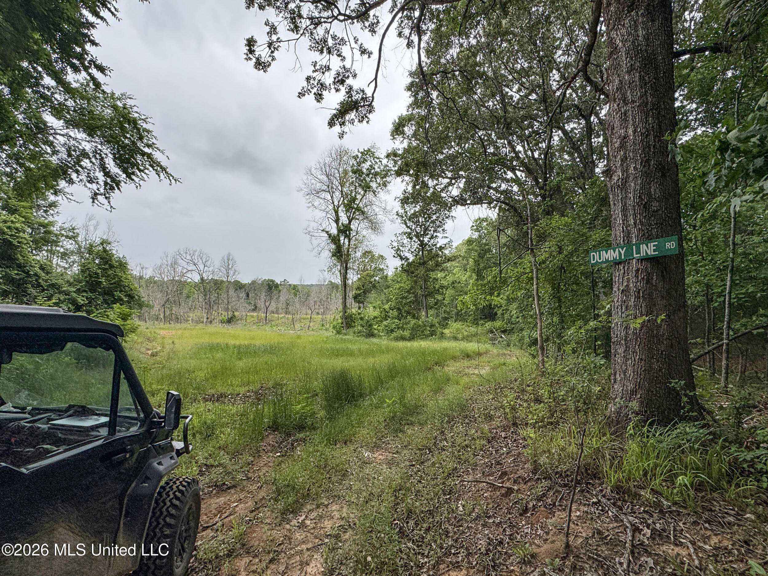 Wayne Massie Road Property Photo 171