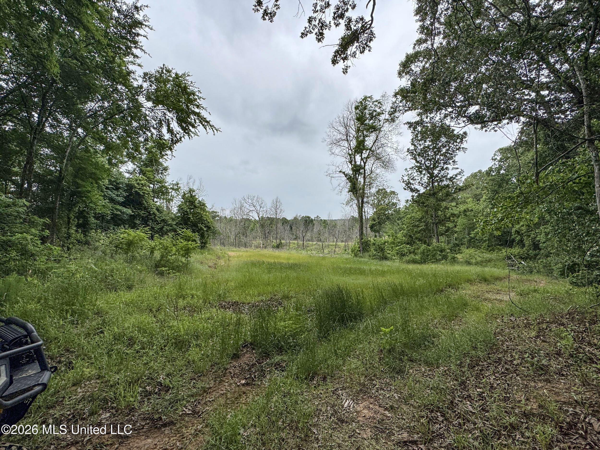 Wayne Massie Road Property Photo 172