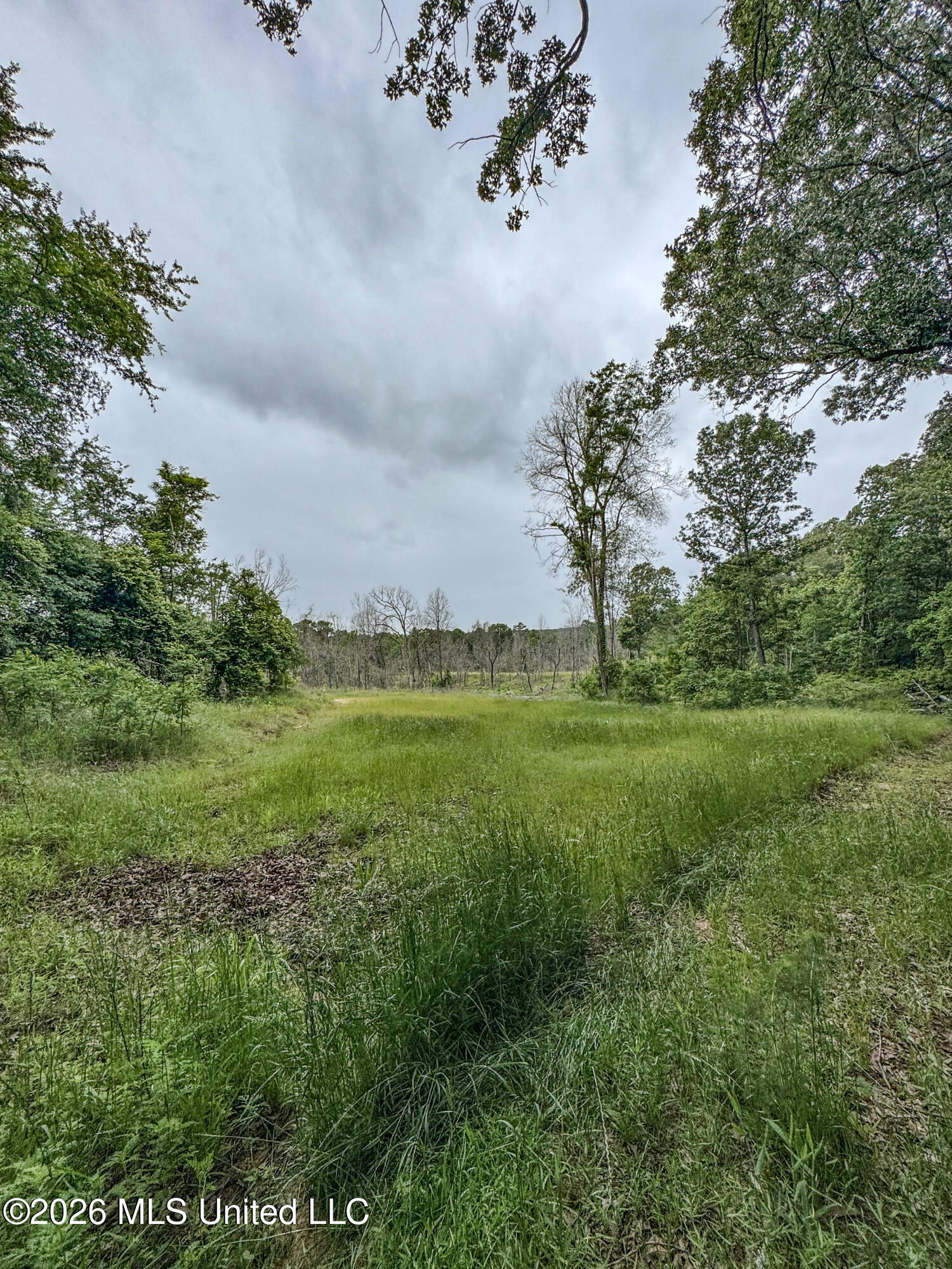 Wayne Massie Road Property Photo 173