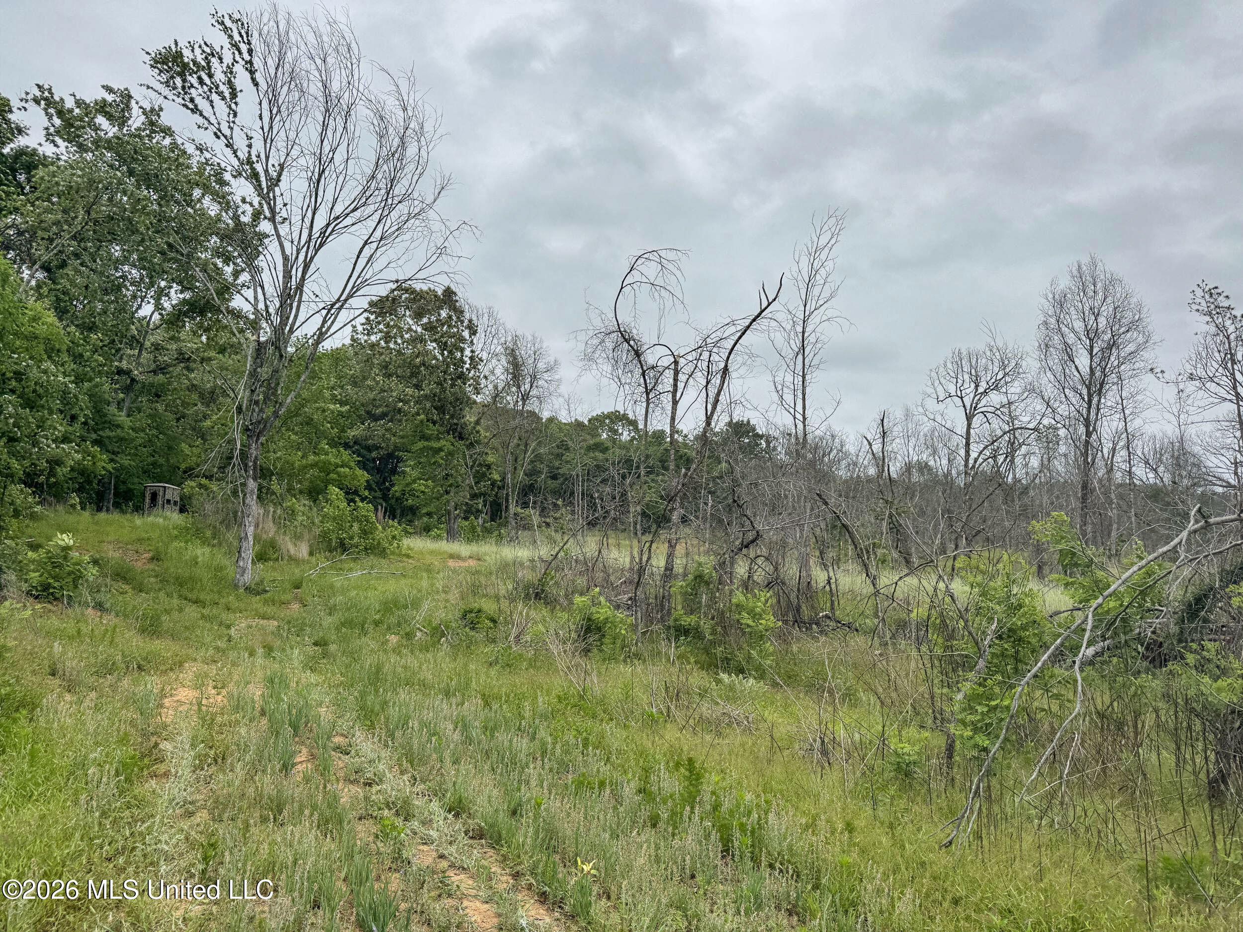 Wayne Massie Road Property Photo 175