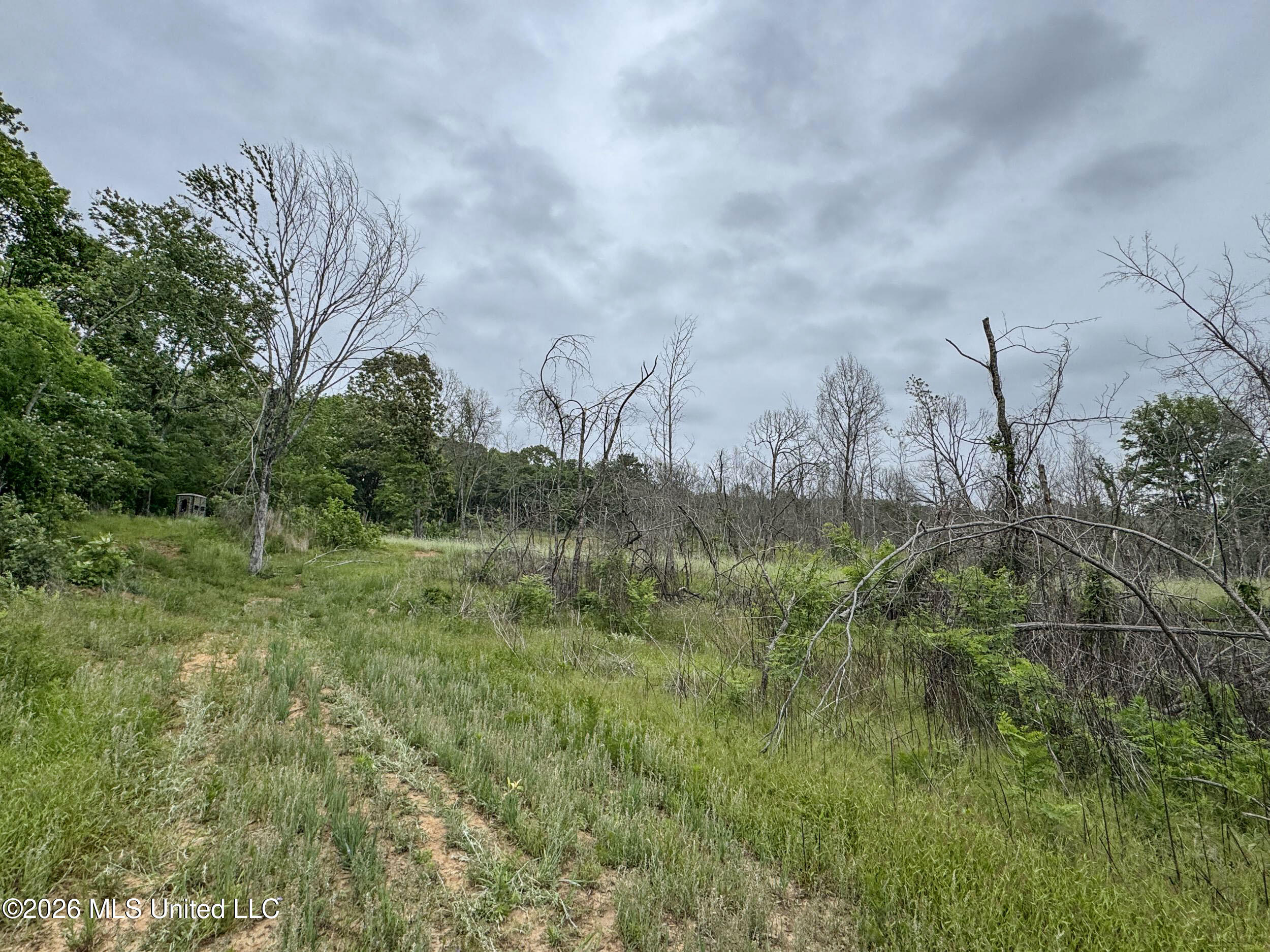 Wayne Massie Road Property Photo 176