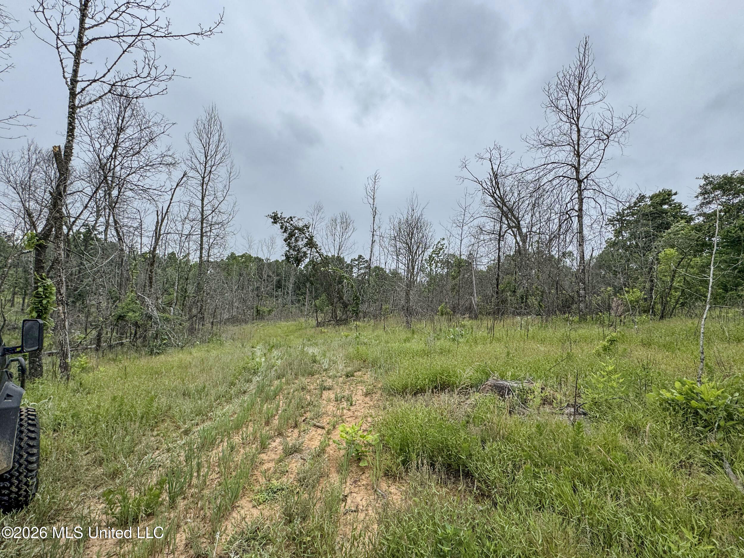 Wayne Massie Road Property Photo 177
