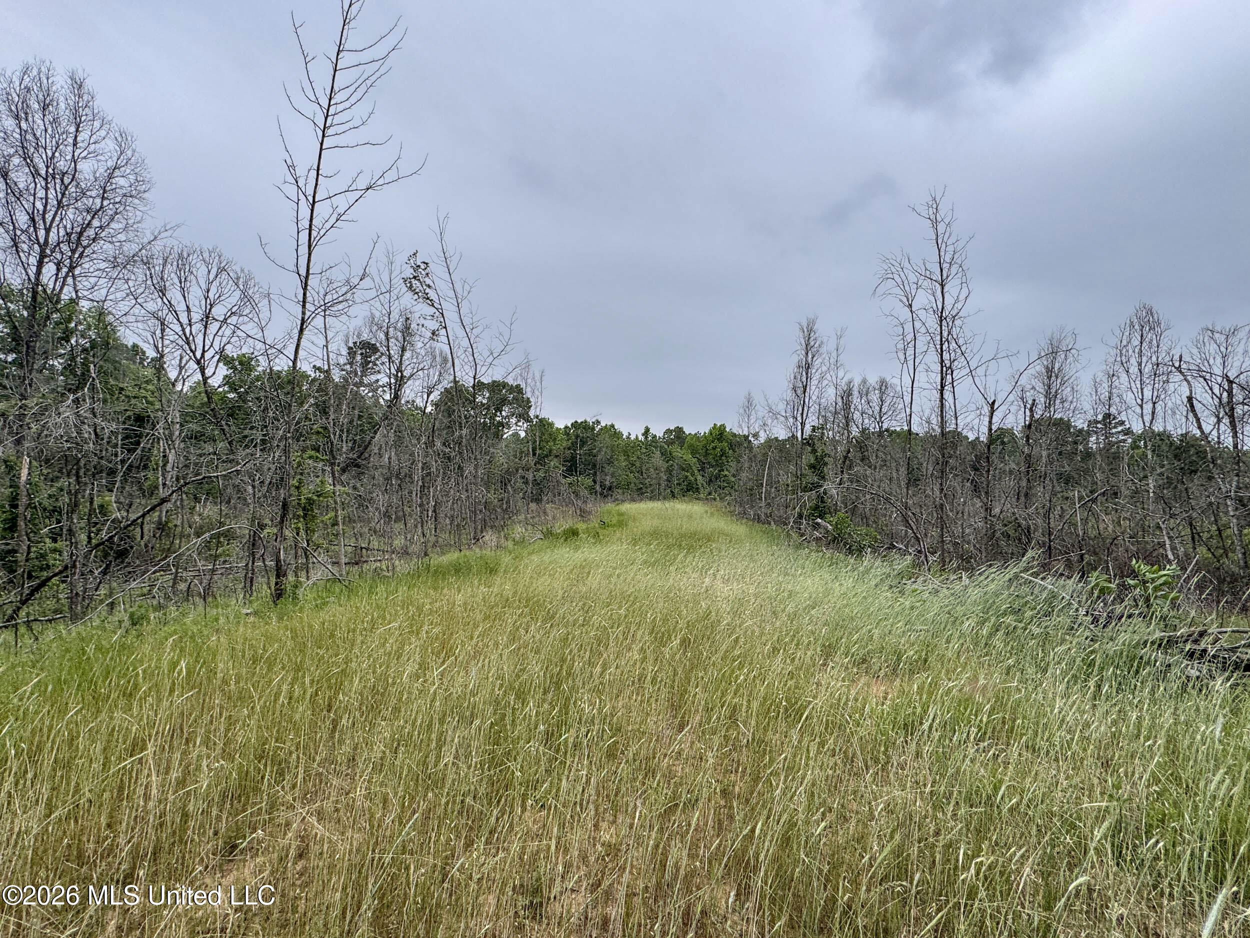 Wayne Massie Road Property Photo 178