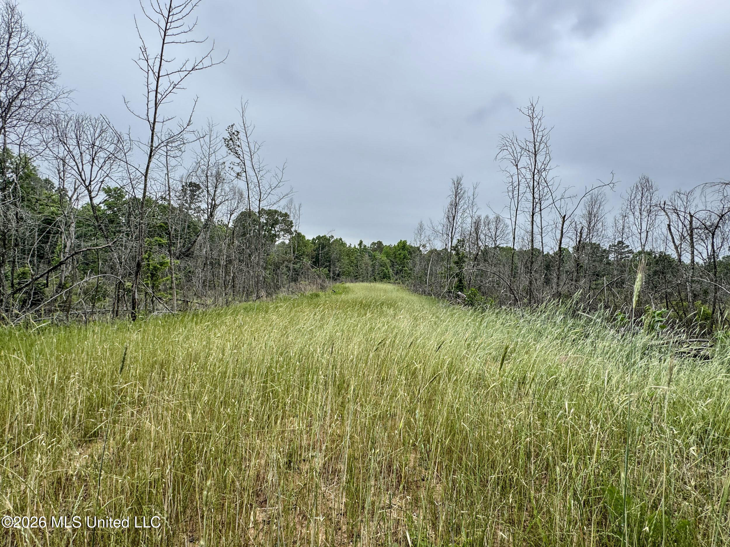 Wayne Massie Road Property Photo 179