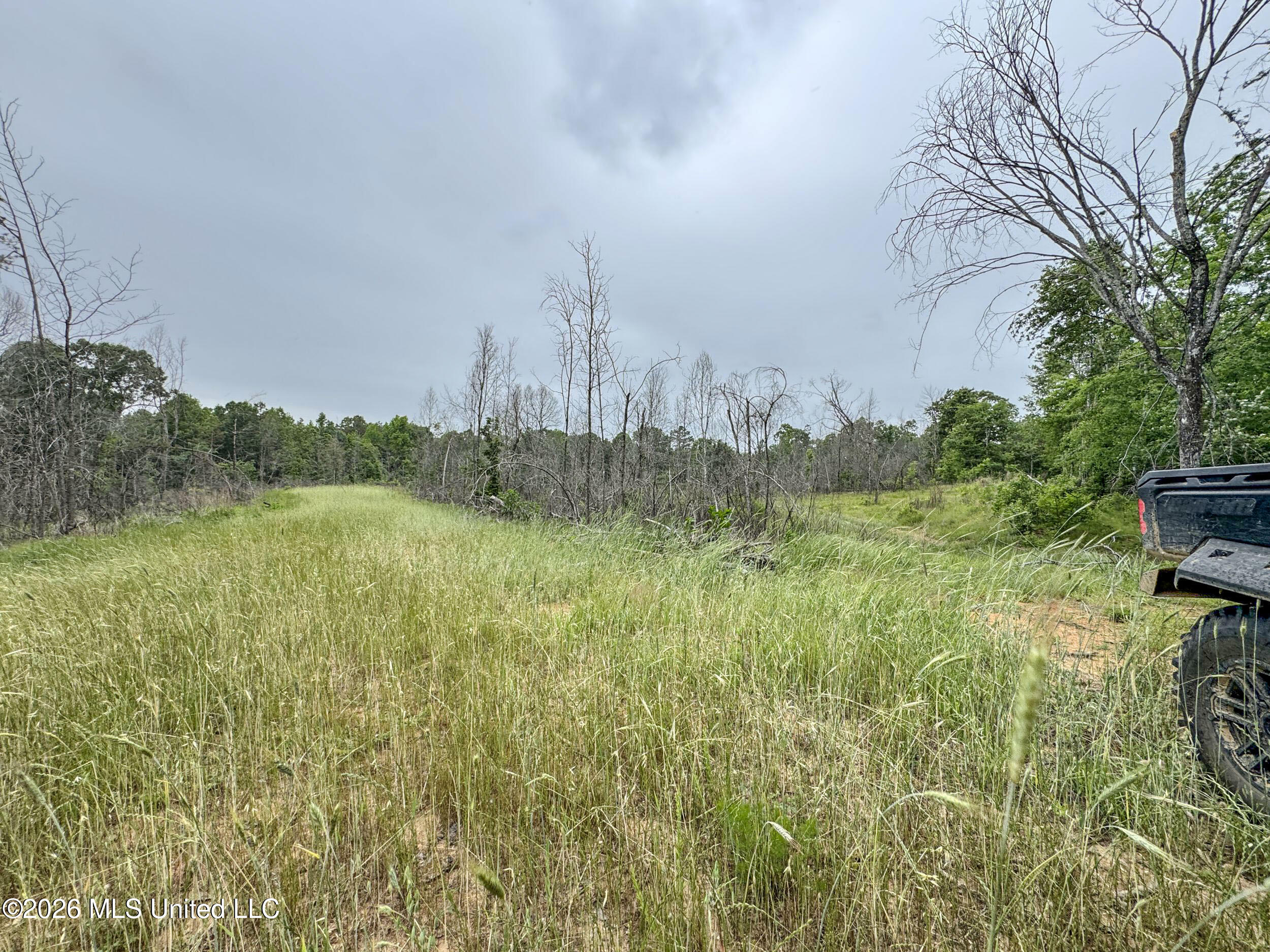 Wayne Massie Road Property Photo 180